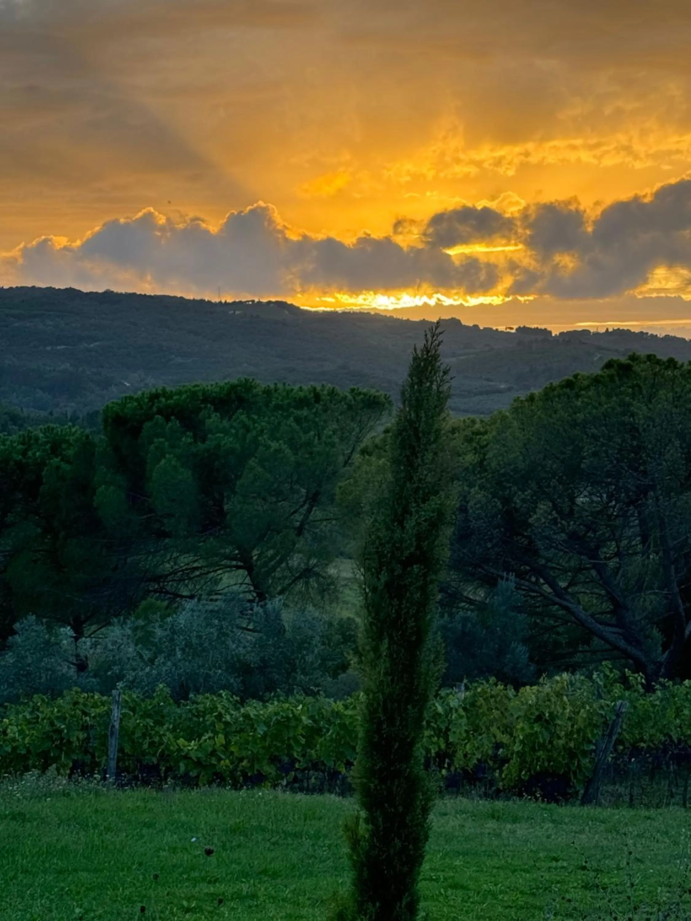 Natural landscape in Corte Di Valle