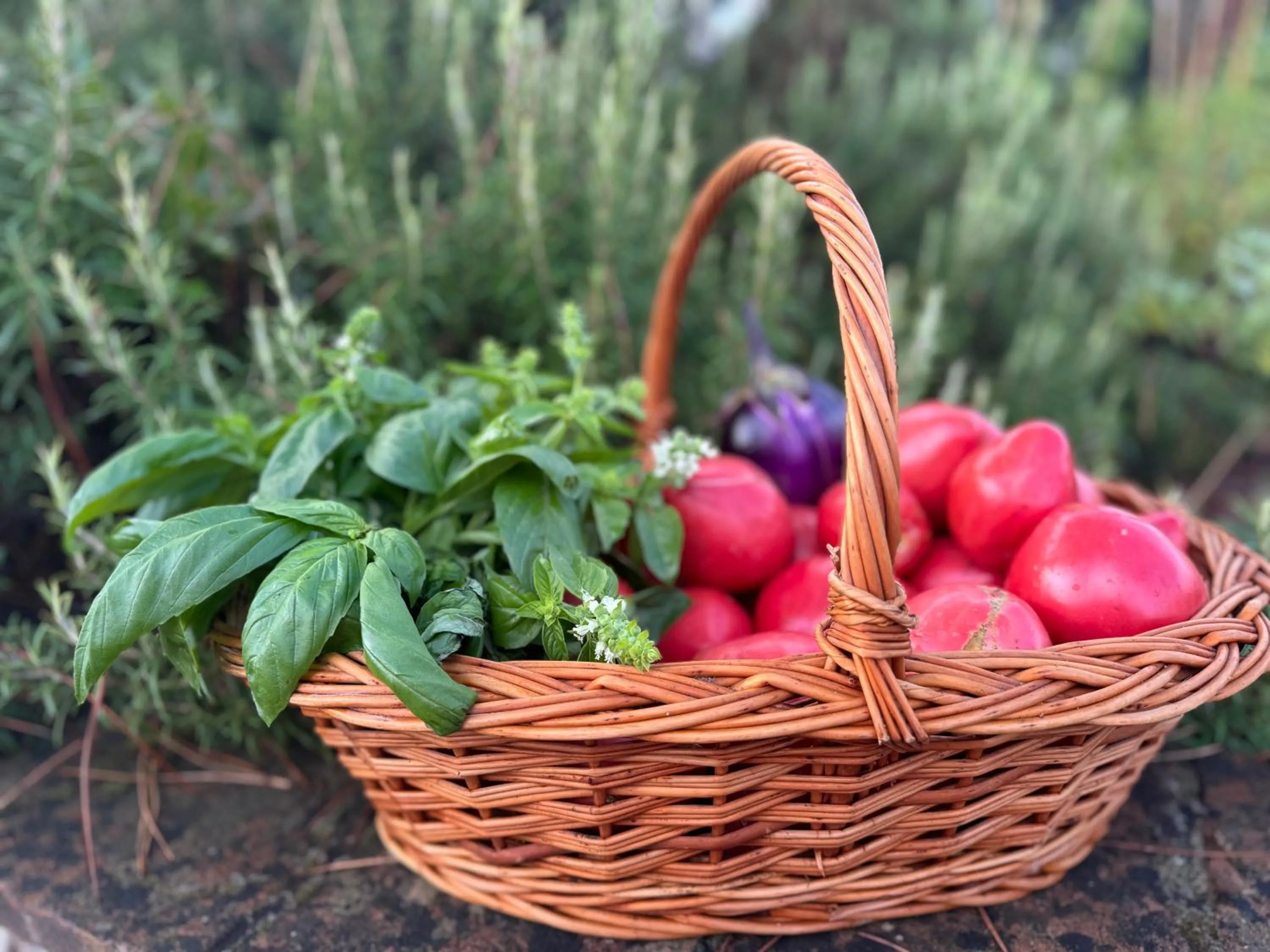 Garden in Corte Di Valle
