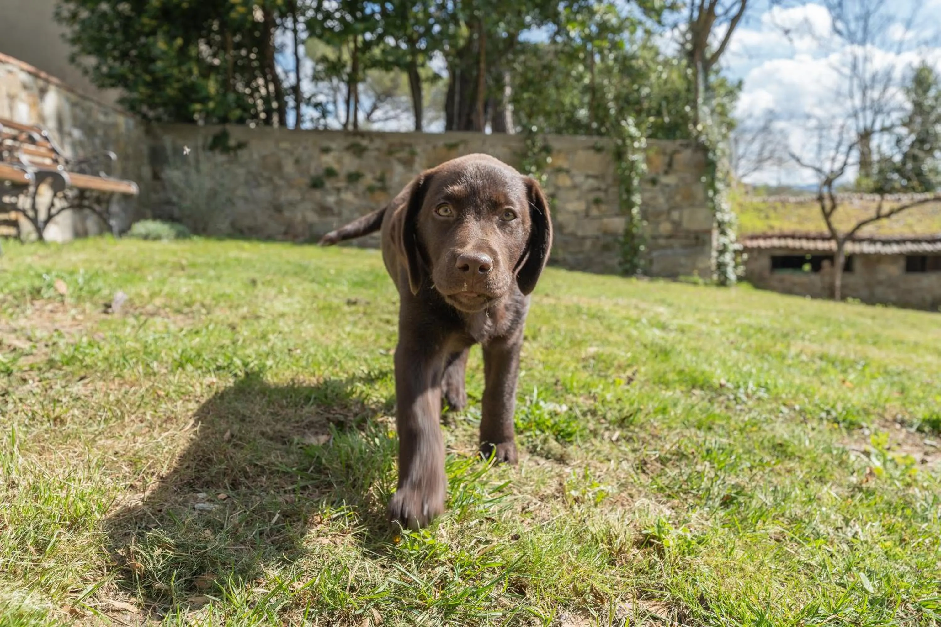 Pets in Corte Di Valle