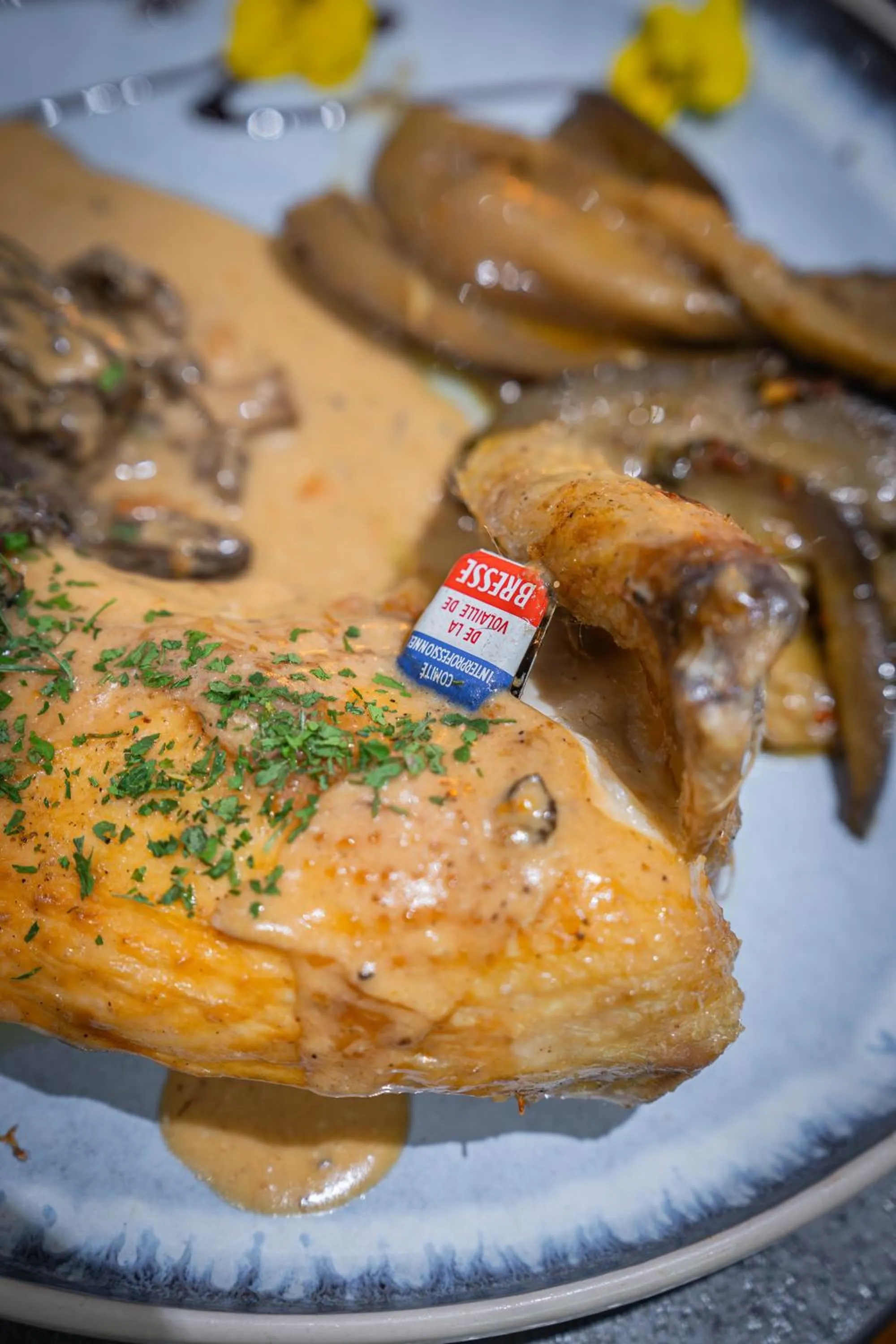 Dinner in Logis Hôtel Vuillot