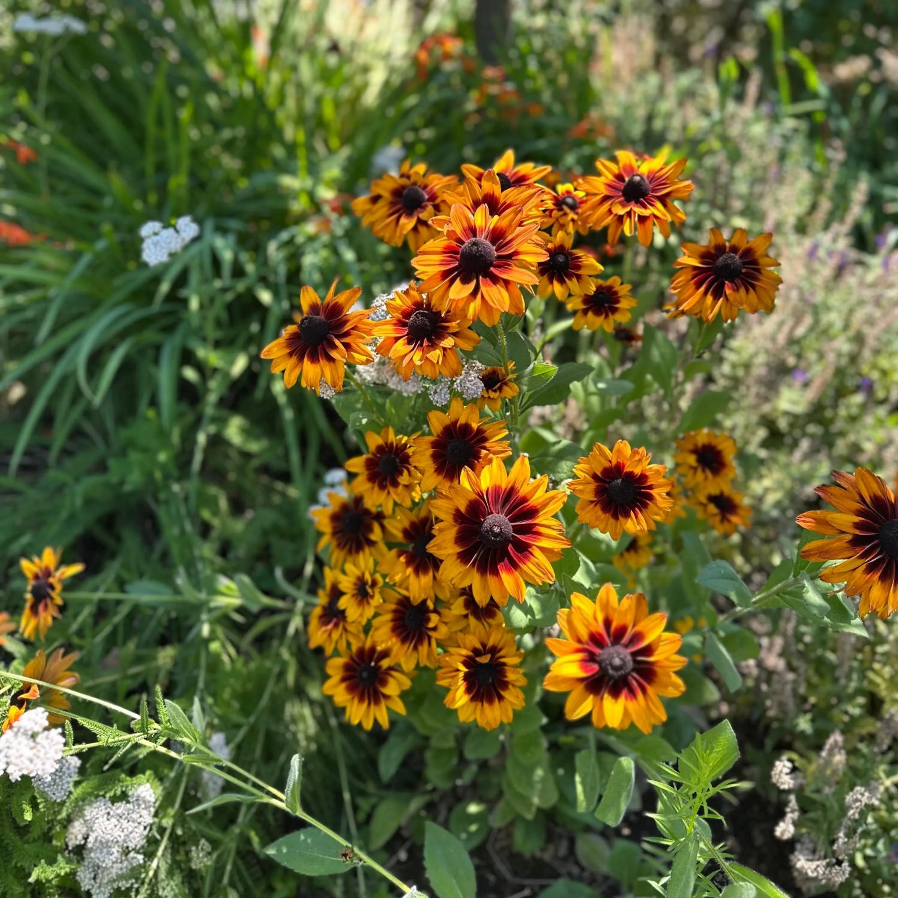 Resort at Eagle Point Golf Club Lodging