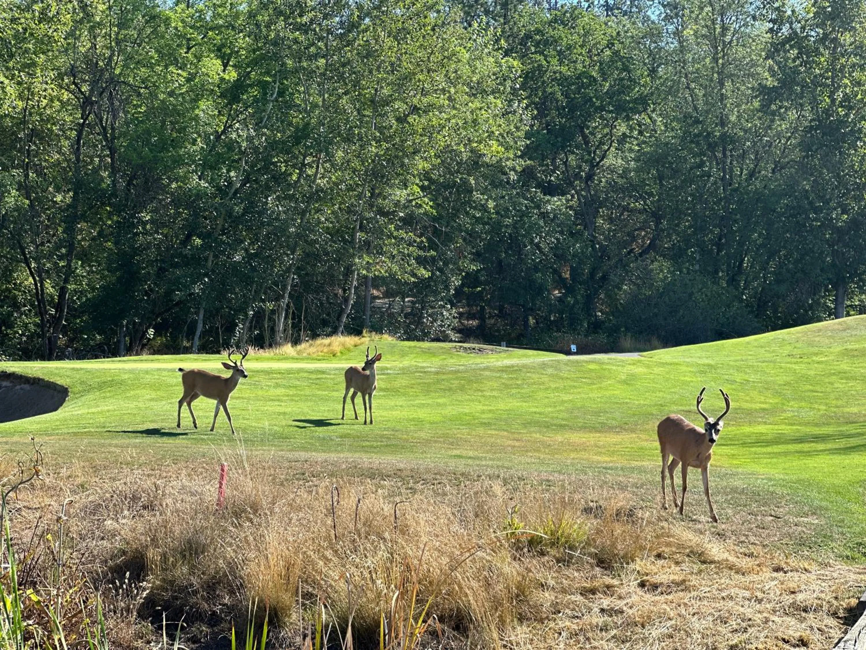 Resort at Eagle Point Golf Club Lodging