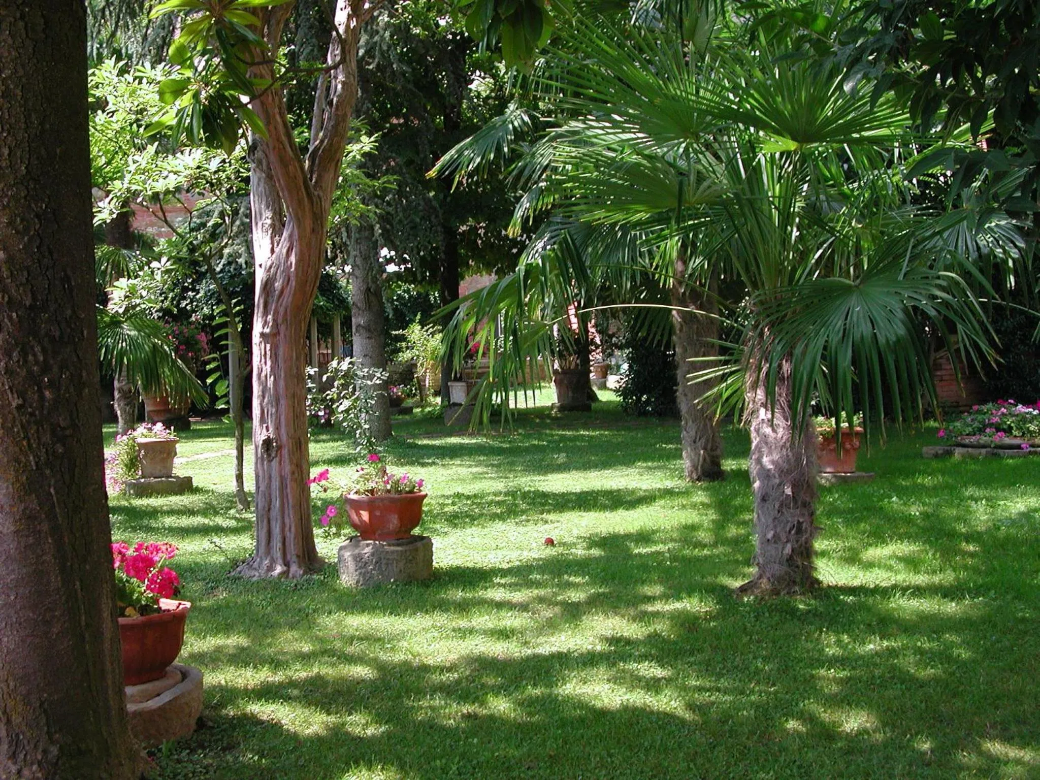 Garden in Fonte Del Castagno
