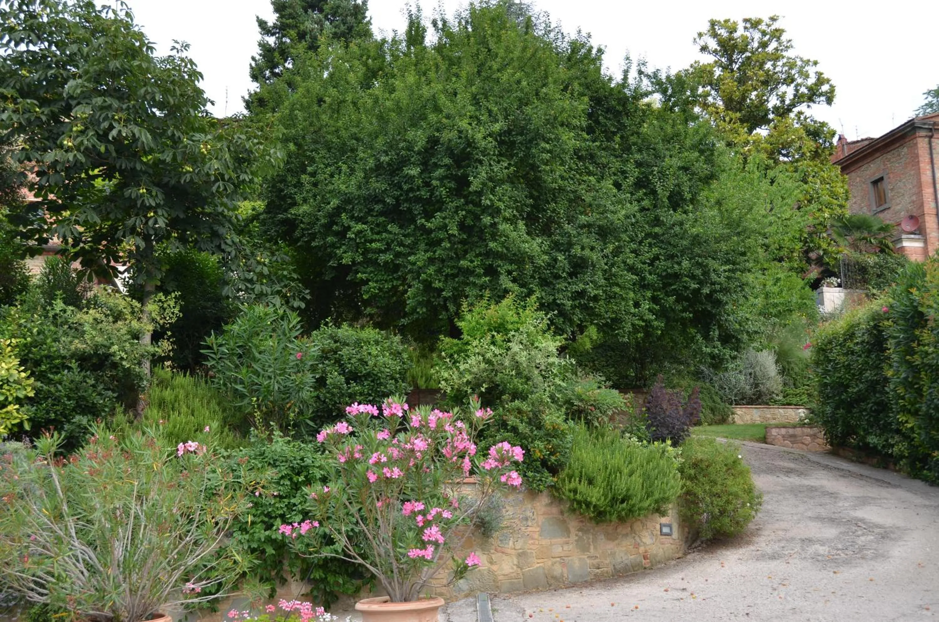 Garden in Fonte Del Castagno