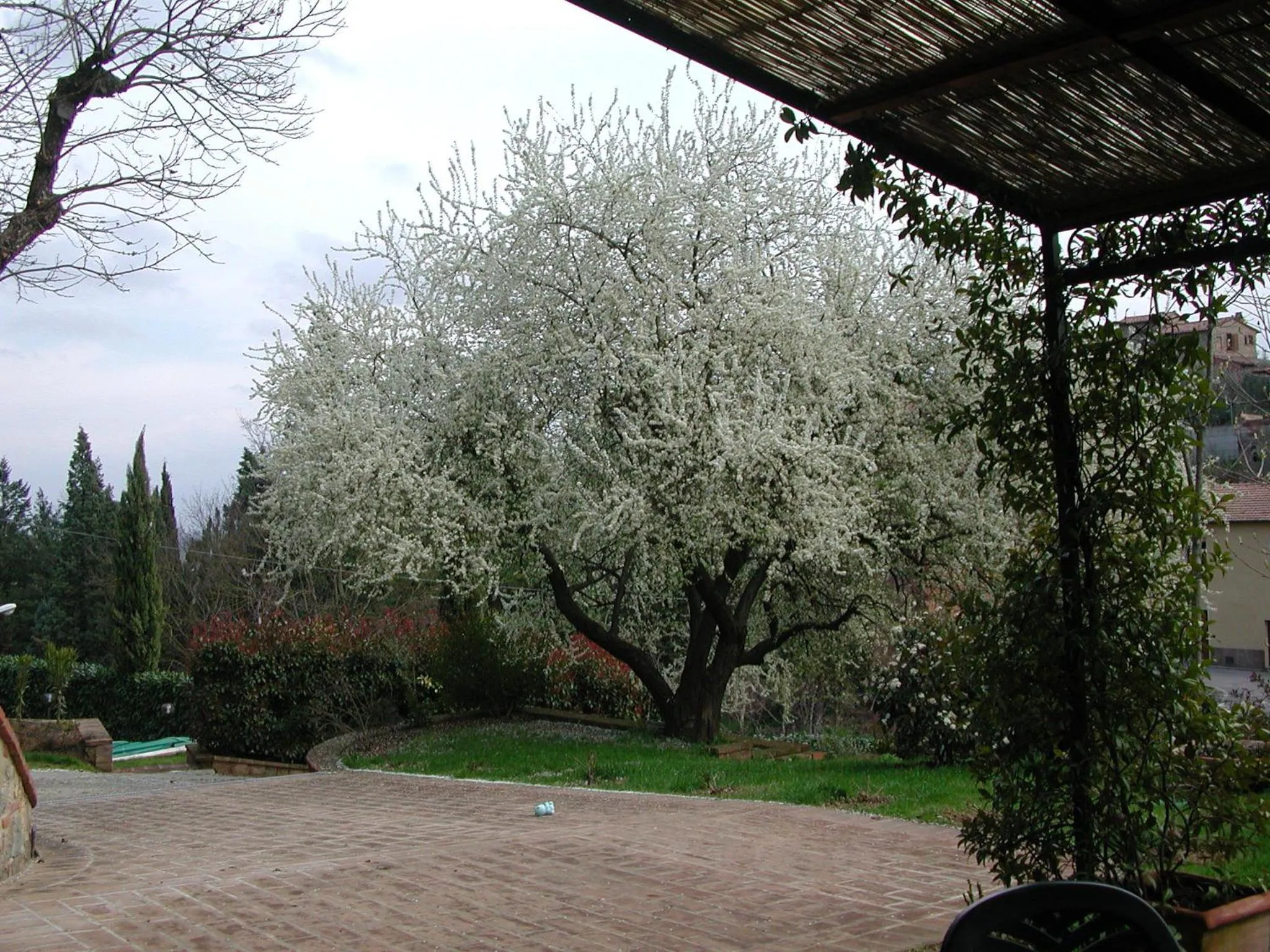 Garden in Fonte Del Castagno
