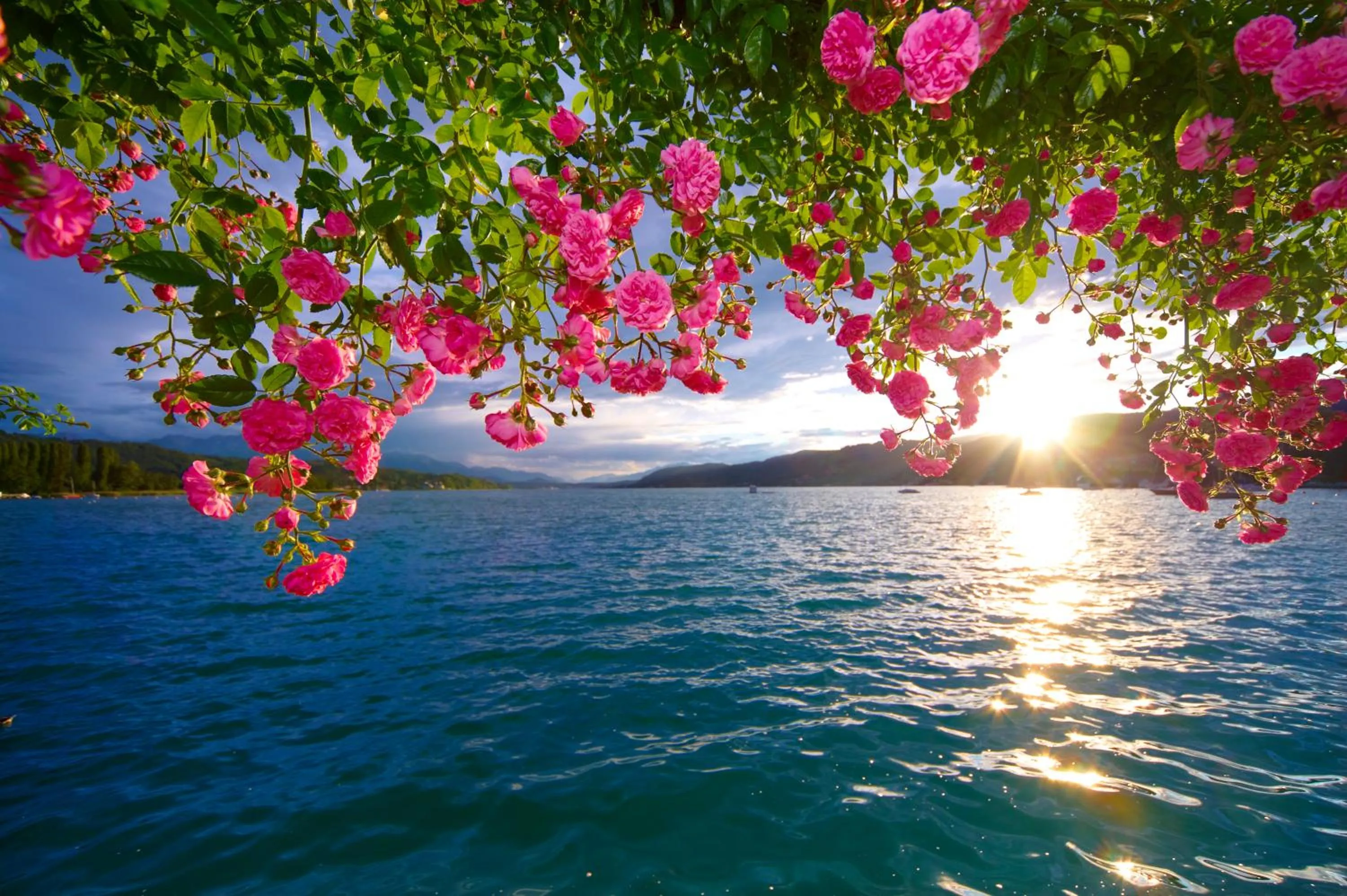 Other in Parkhotel Pörtschach - Das Hotelresort mit Insellage am Wörthersee