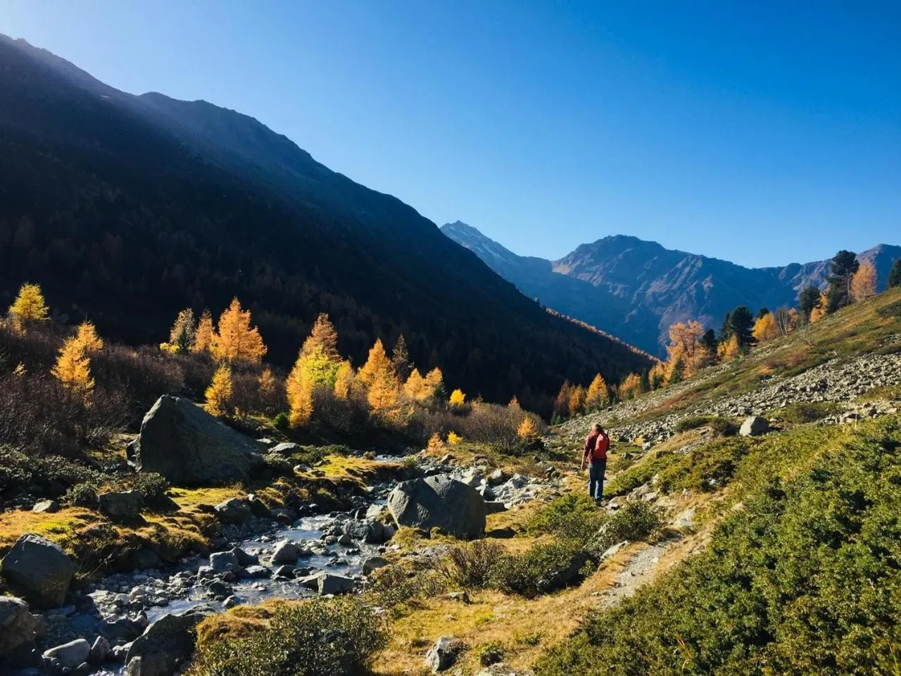 Natural landscape in Haus Bergfrieden