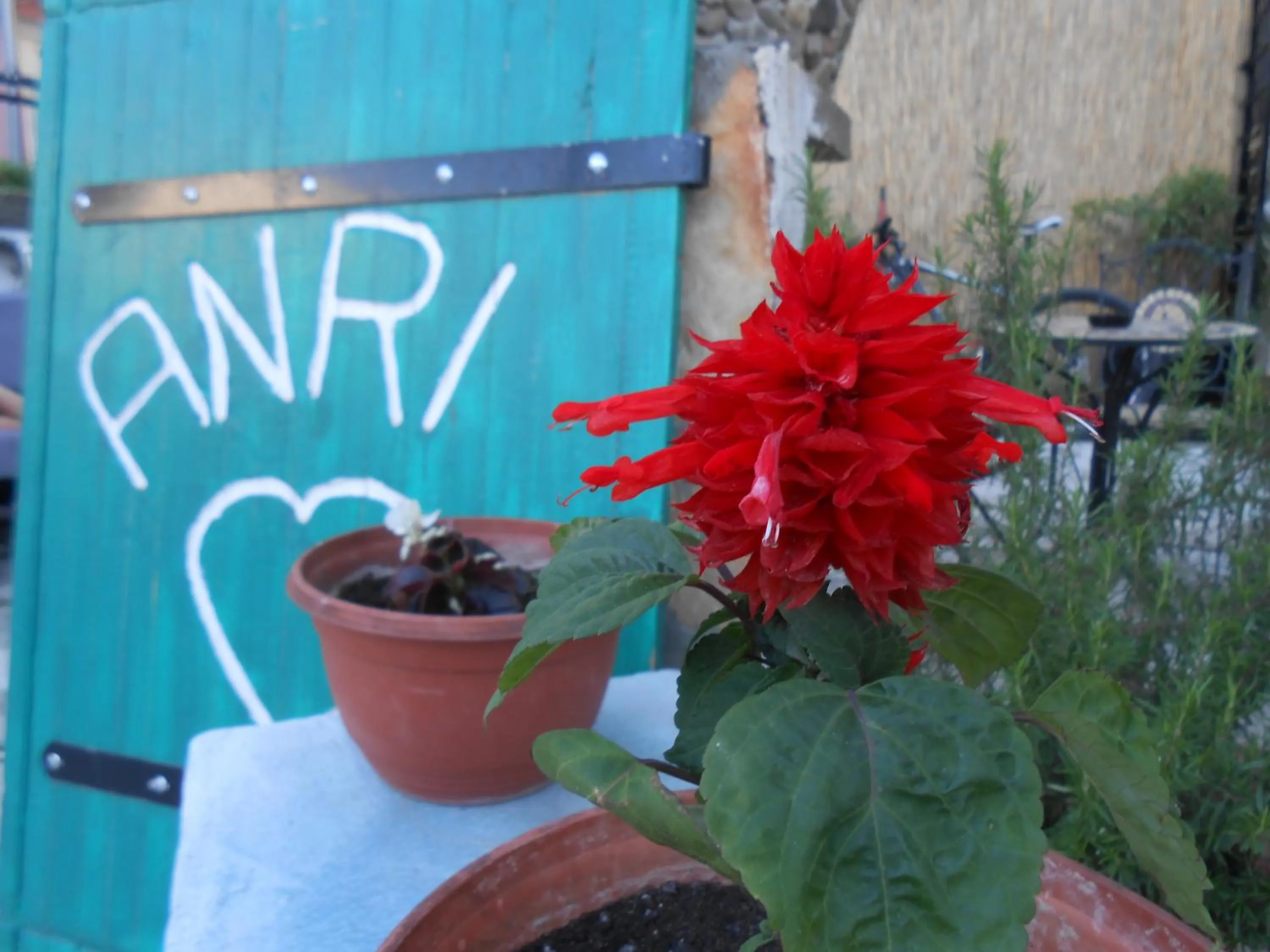 Garden in Villa Anri