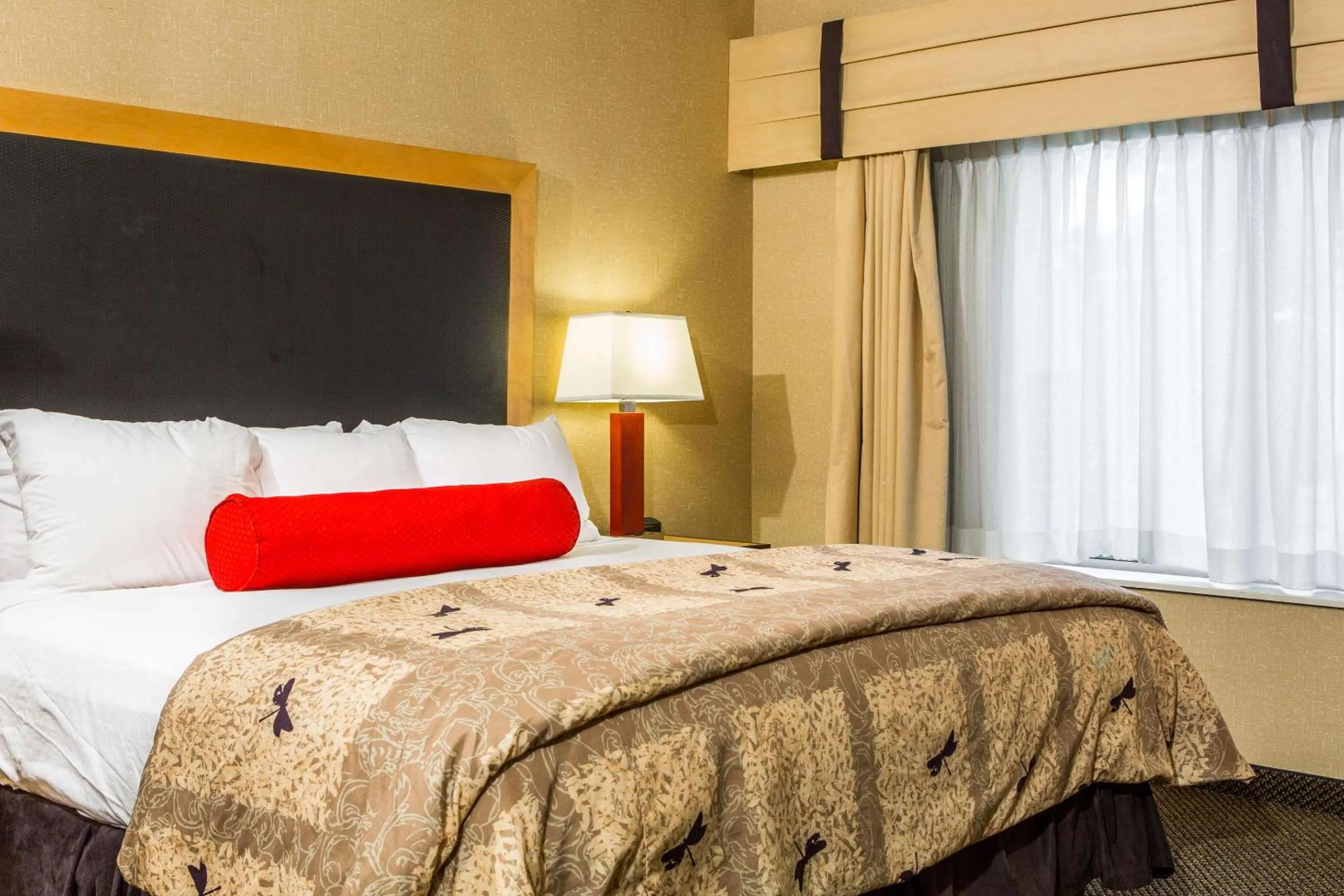 Bedroom, Bed in Cambria Hotel Raleigh-Durham Airport