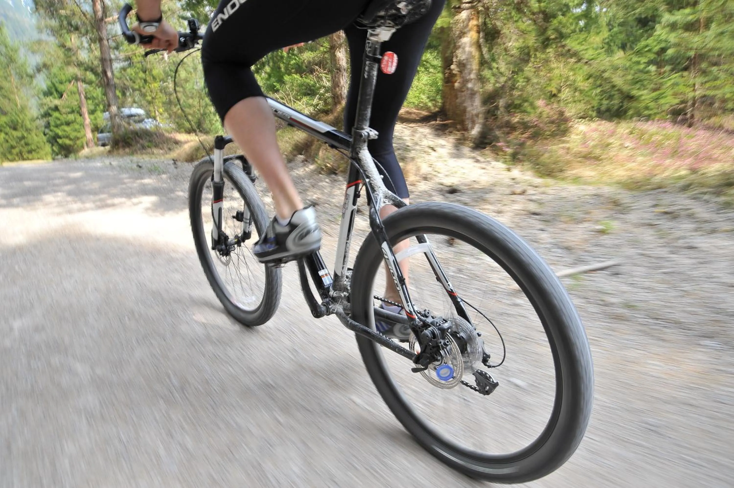 Cycling in Schmiedhof