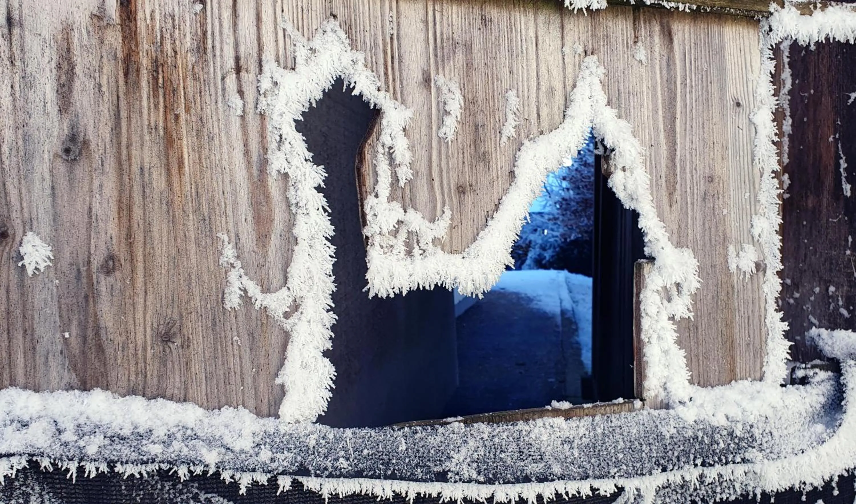 Winter in Schmiedhof