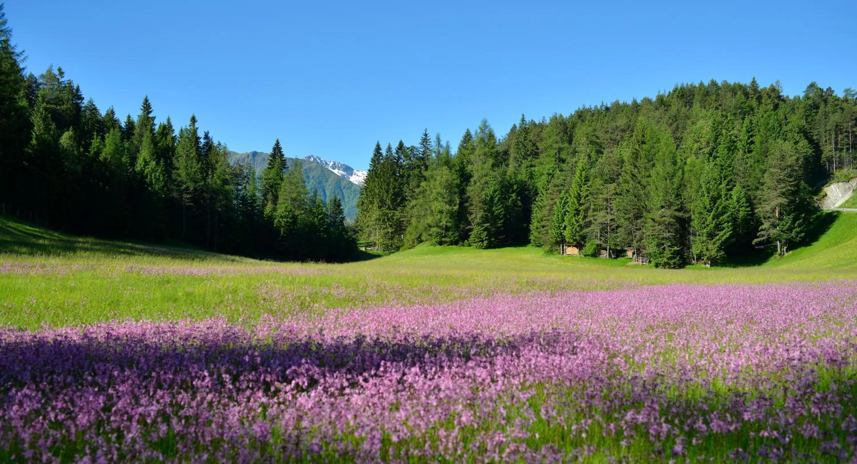 Hiking in Schmiedhof