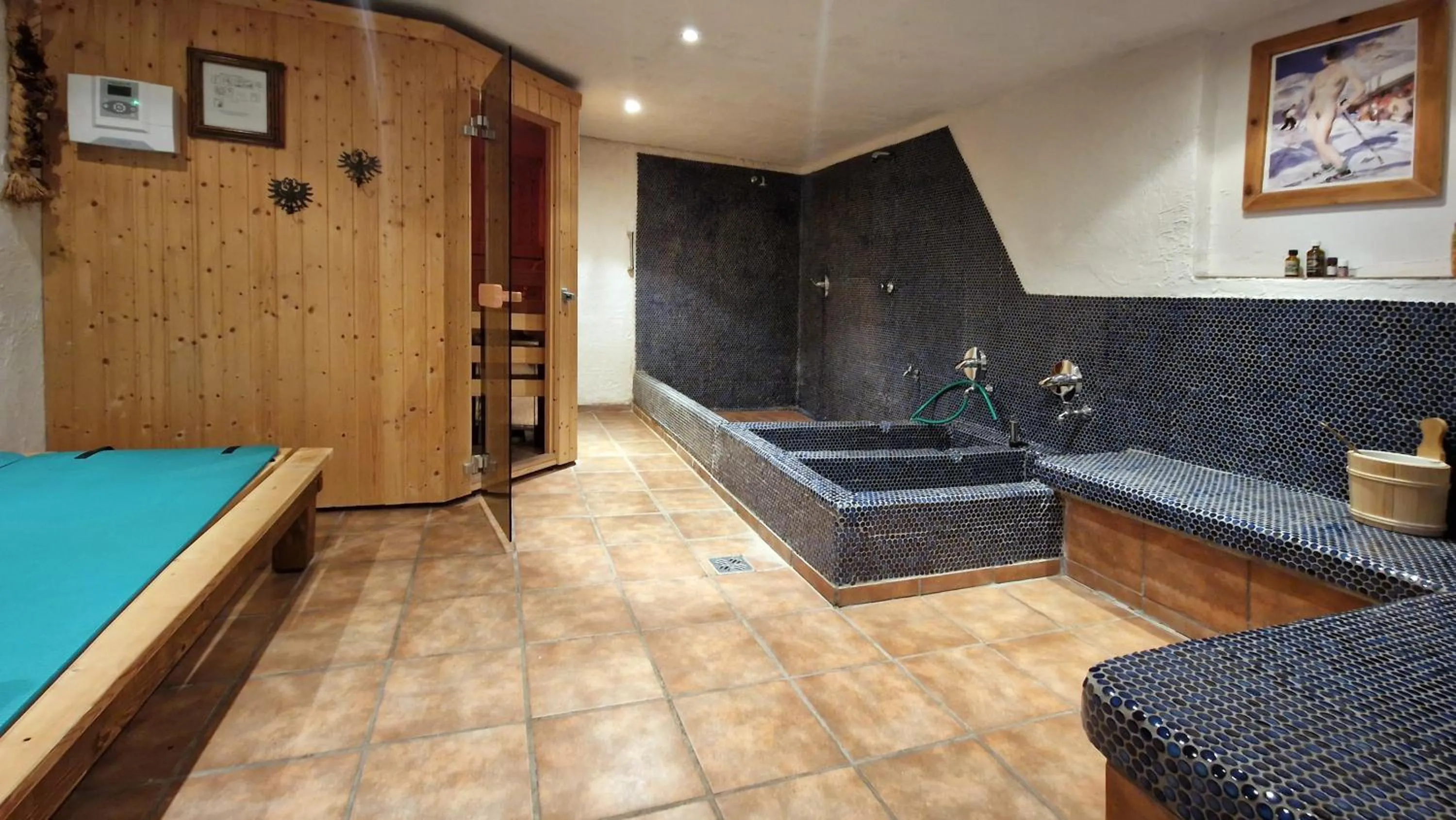 Sauna, Bed in Schmiedhof
