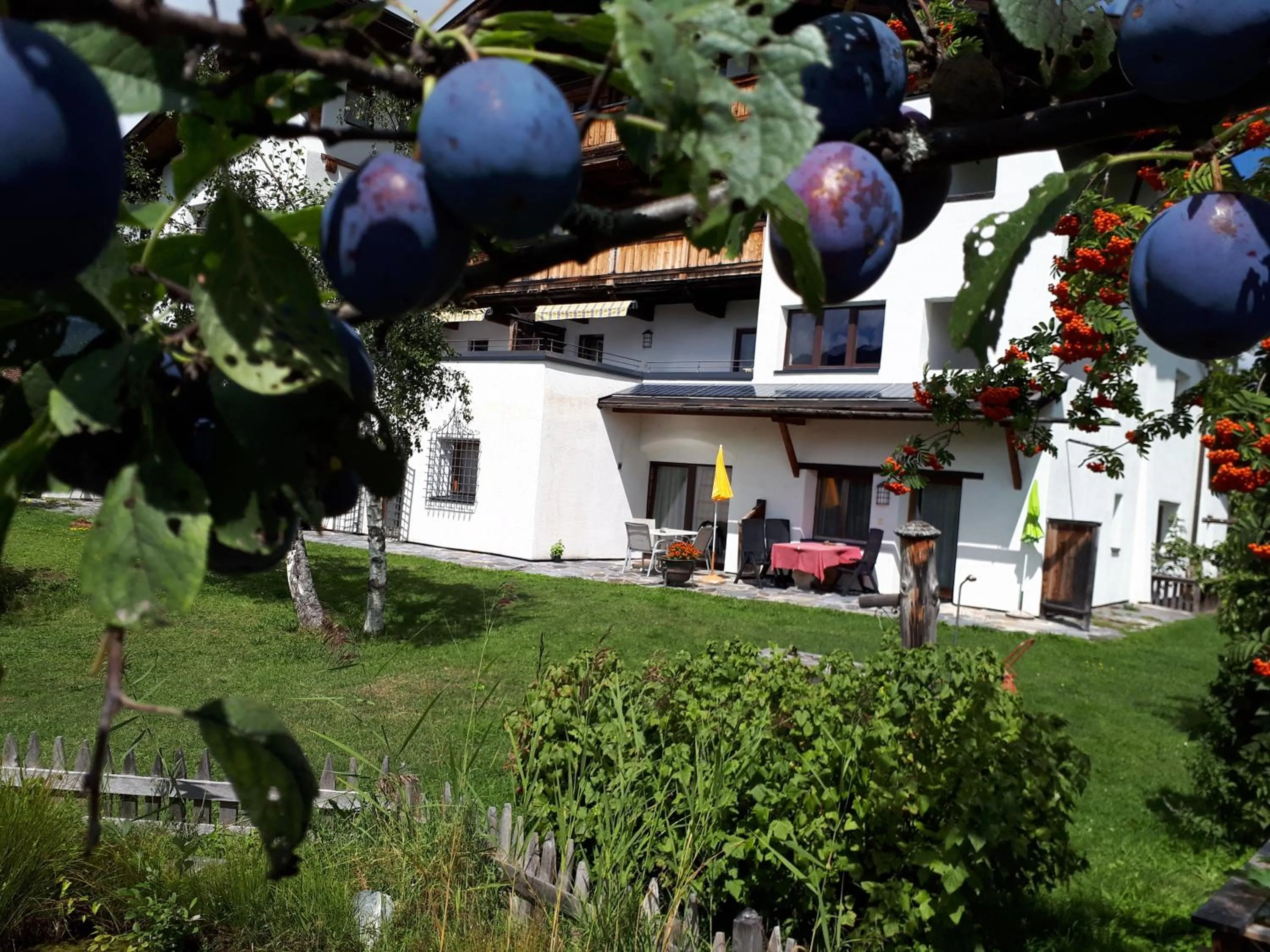 Property building in Schmiedhof