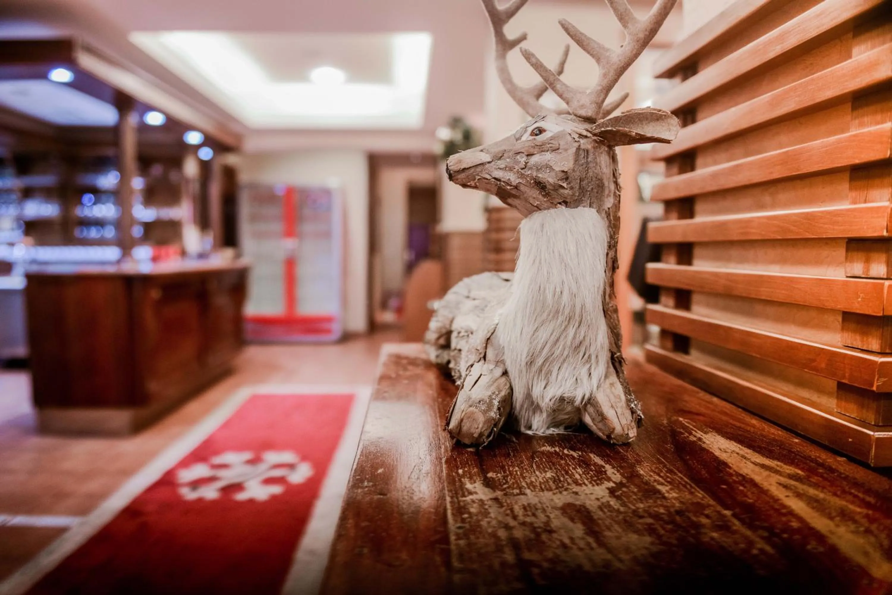 Decorative detail in Hotel Pahuljica