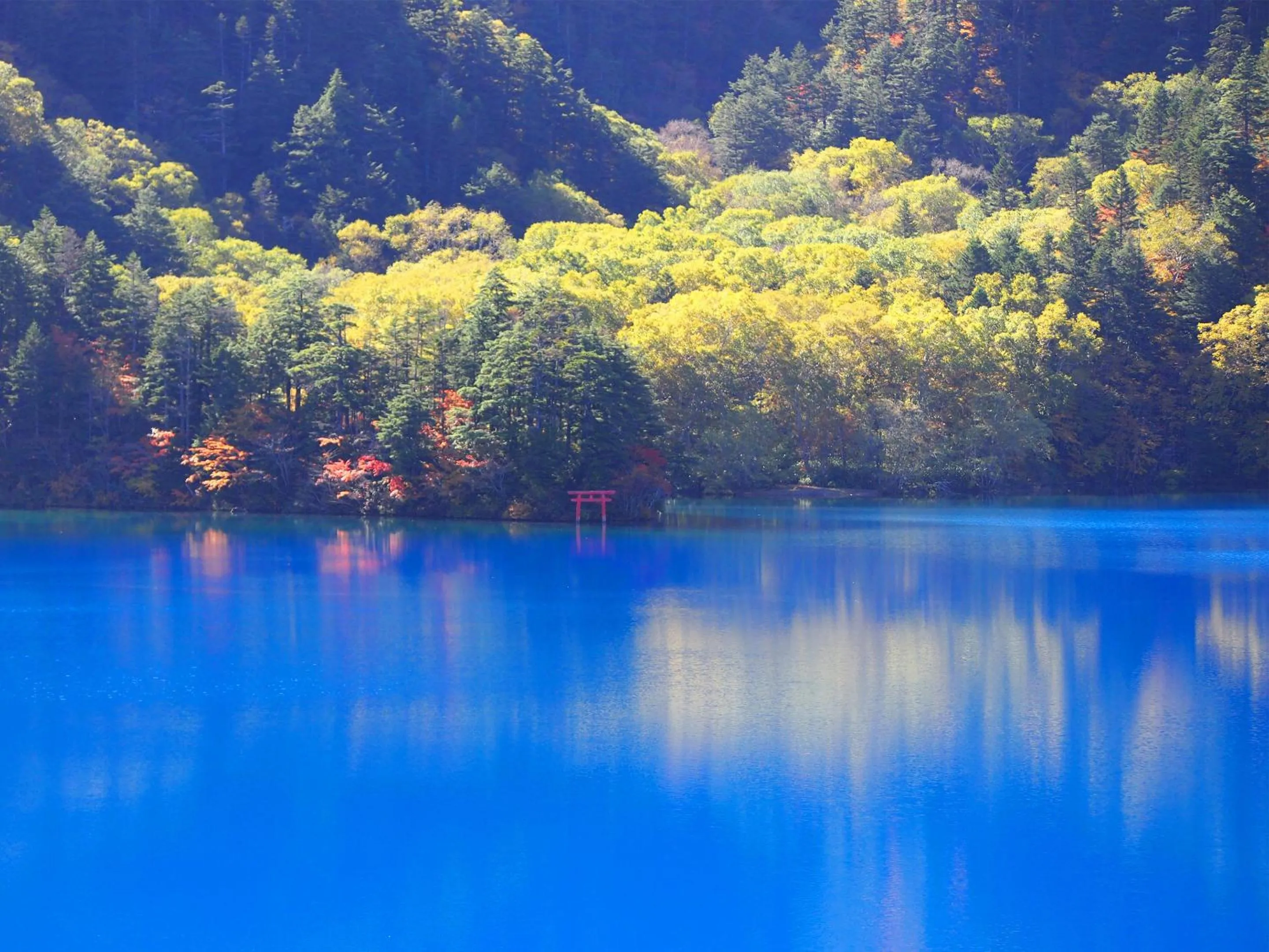 Nearby landmark in Hotel Ichinose