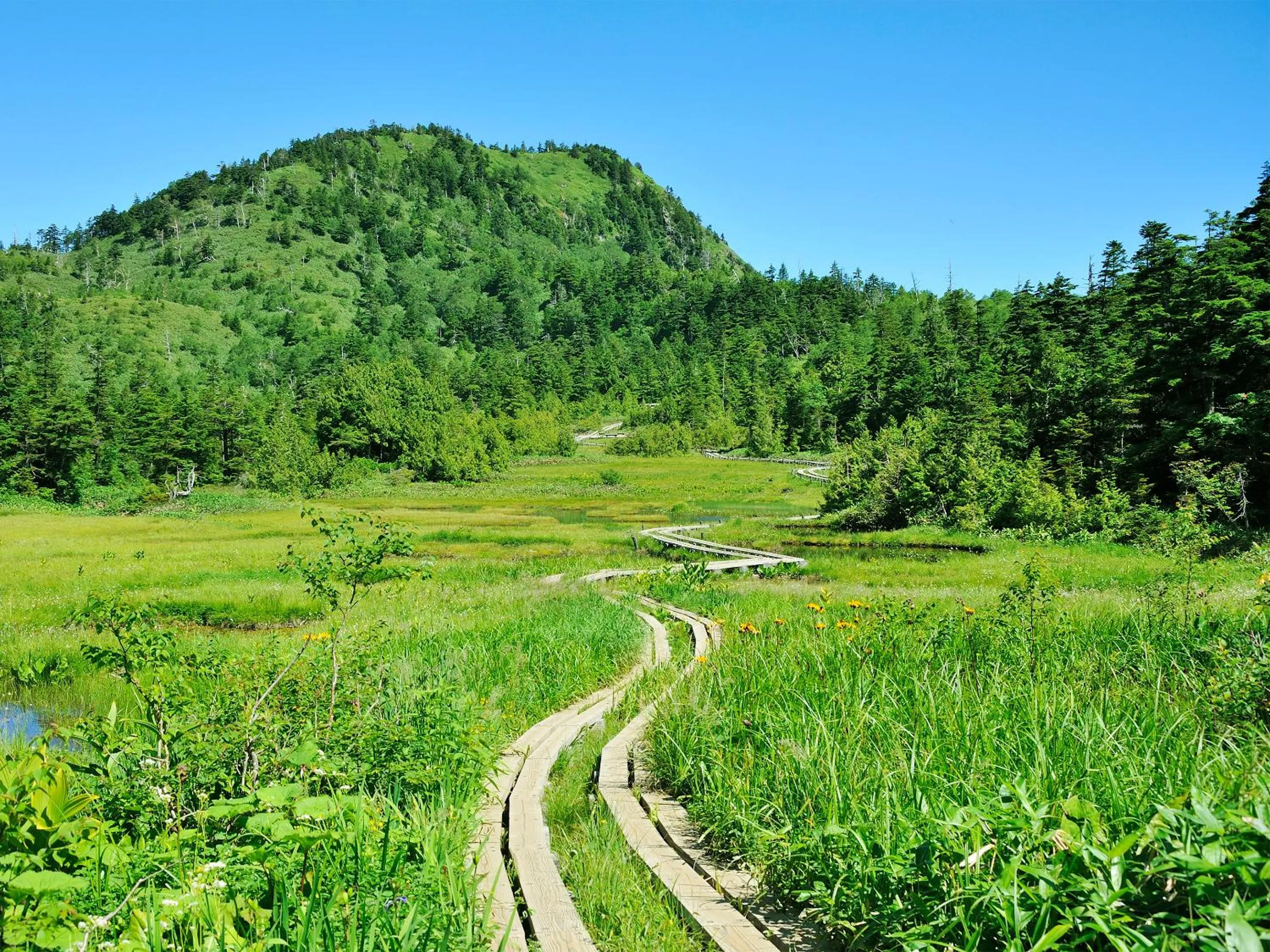 Off site in Hotel Ichinose