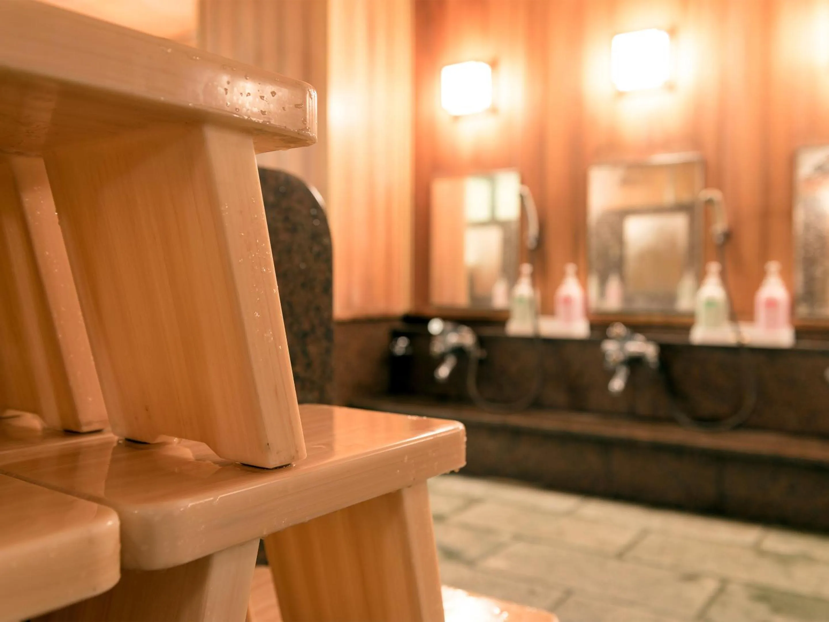 Hot Spring Bath in Hotel Ichinose