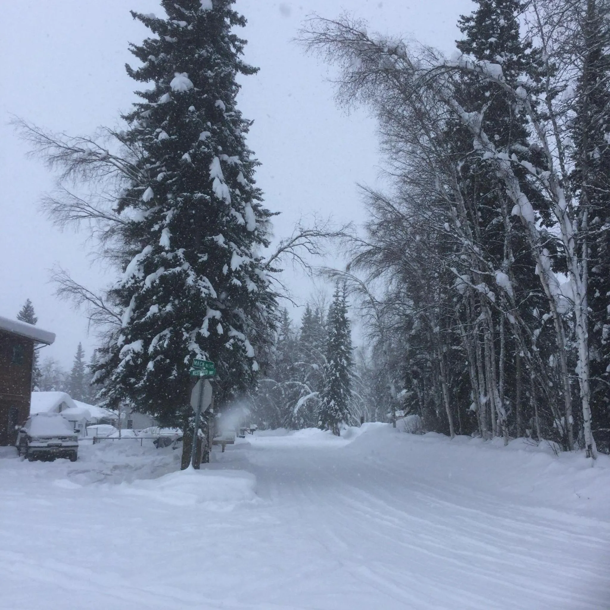 Day in Billie's Backpackers Hostel