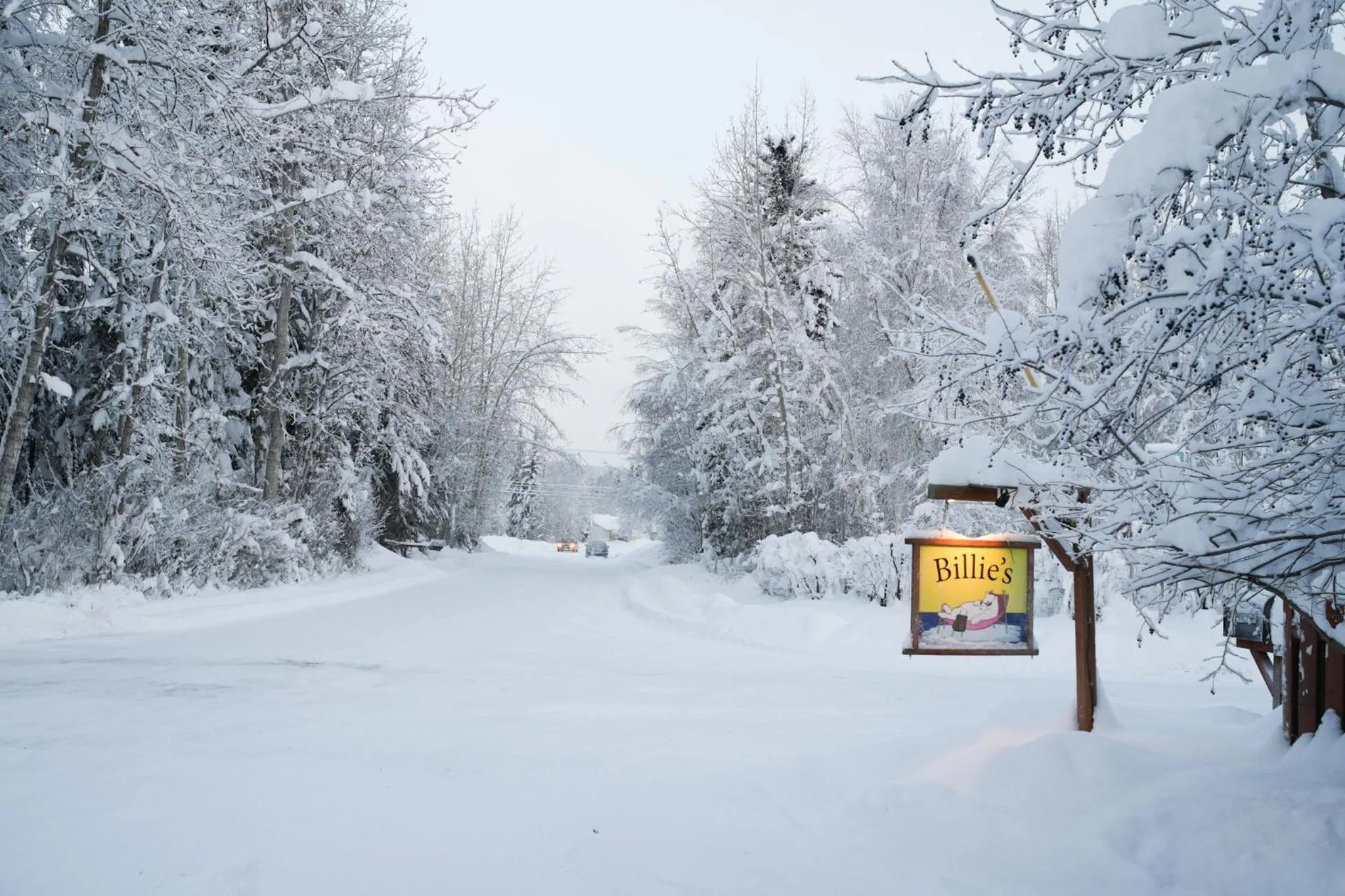 Quiet street view in Billie's Backpackers Hostel