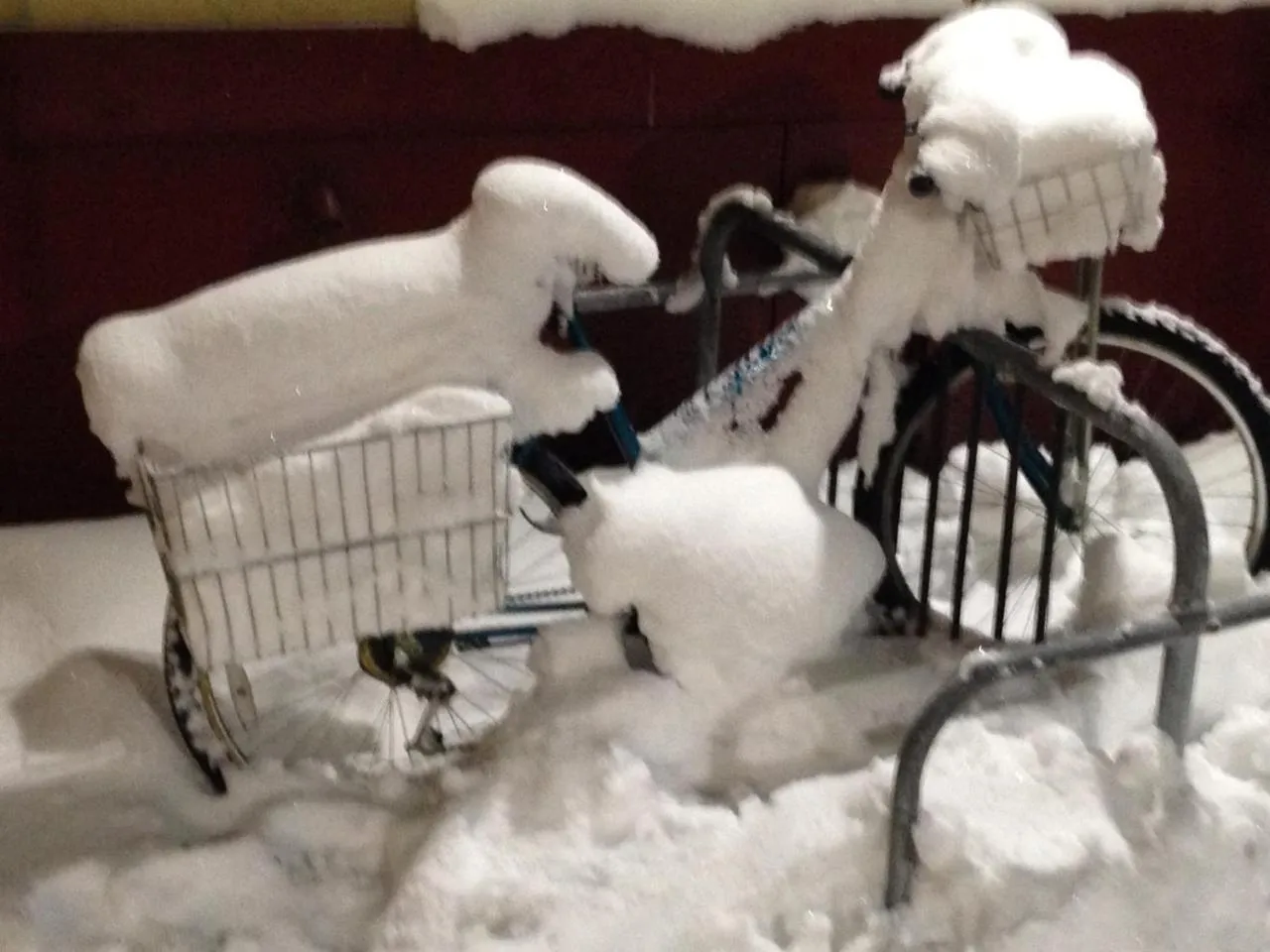 Winter in Billie's Backpackers Hostel