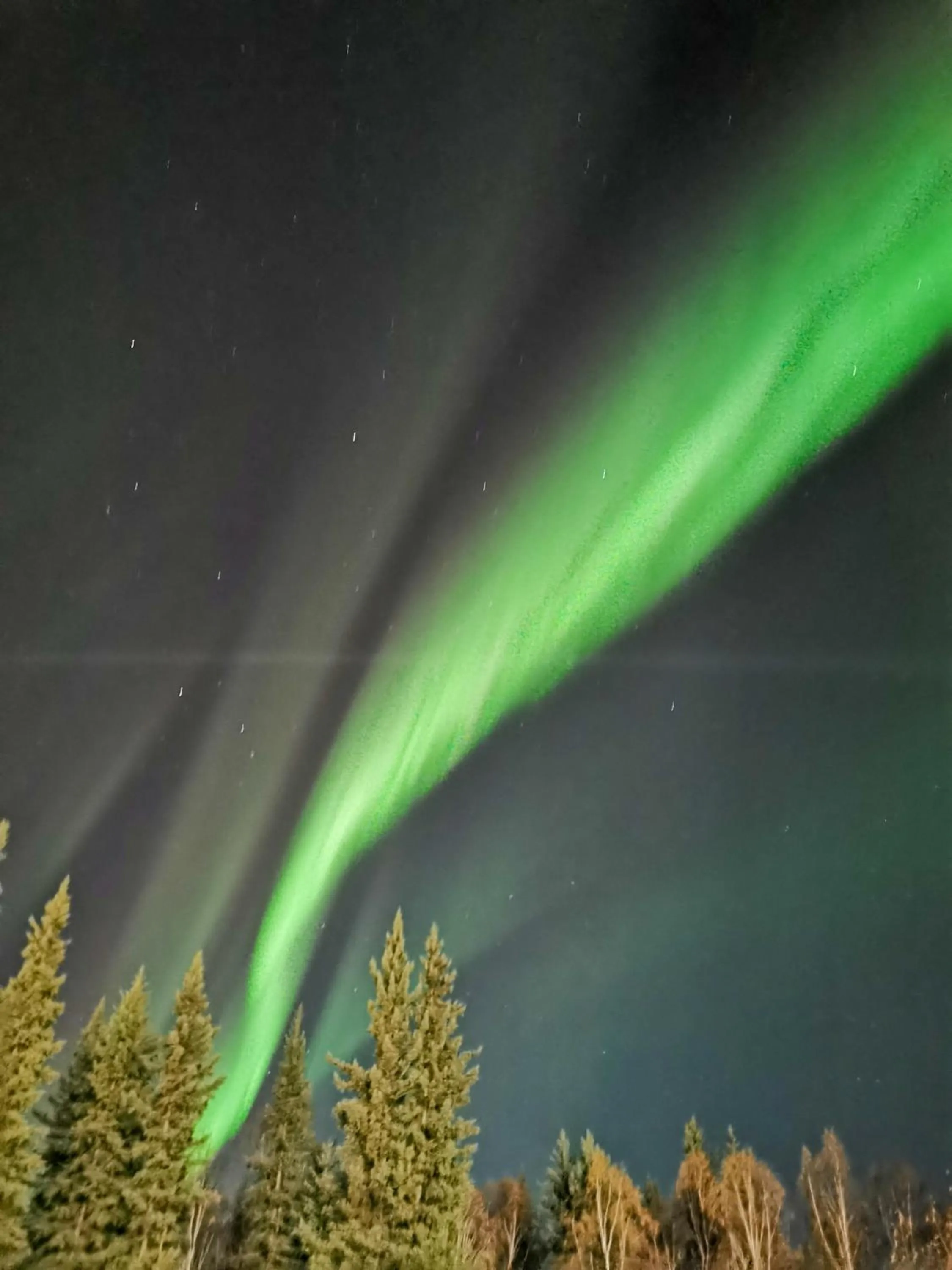 Night in Billie's Backpackers Hostel