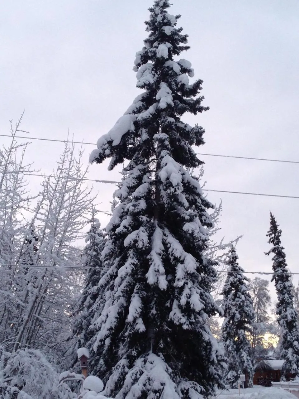 Day in Billie's Backpackers Hostel