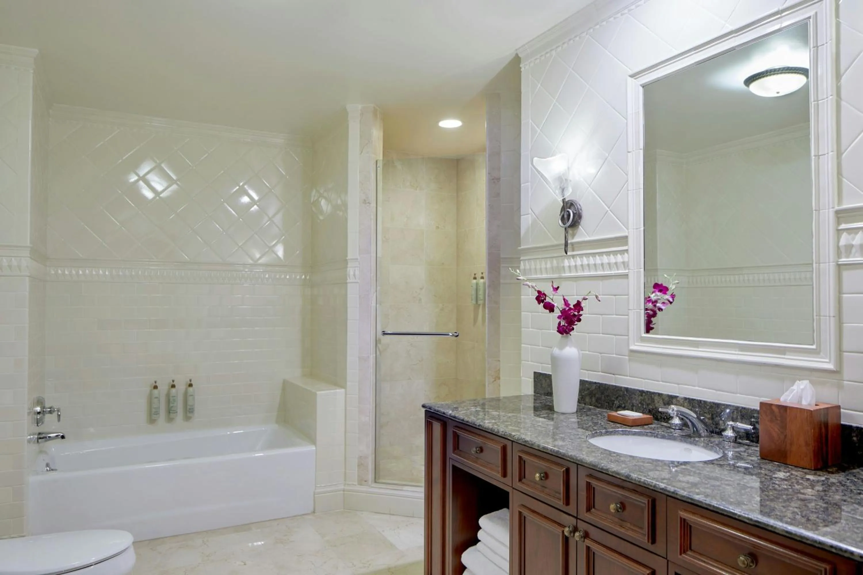 Bathroom in Renaissance Birmingham Ross Bridge Golf Resort & Spa