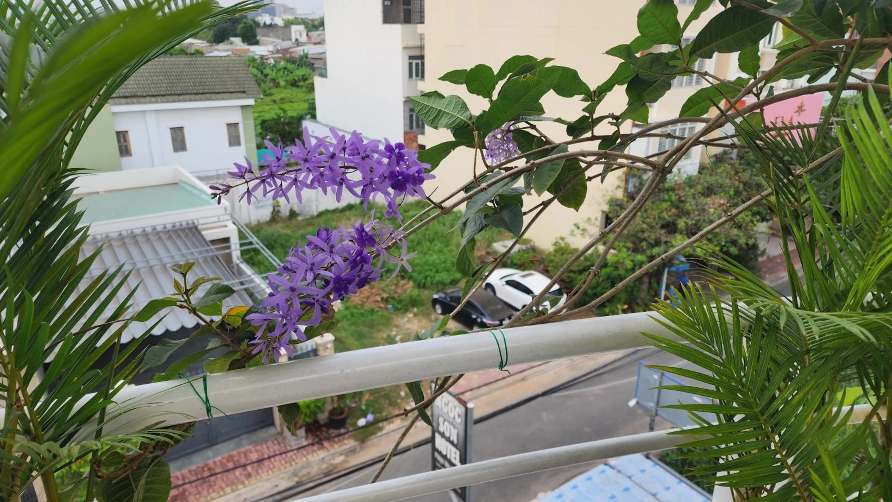 Day in Ngoc Son Hotel