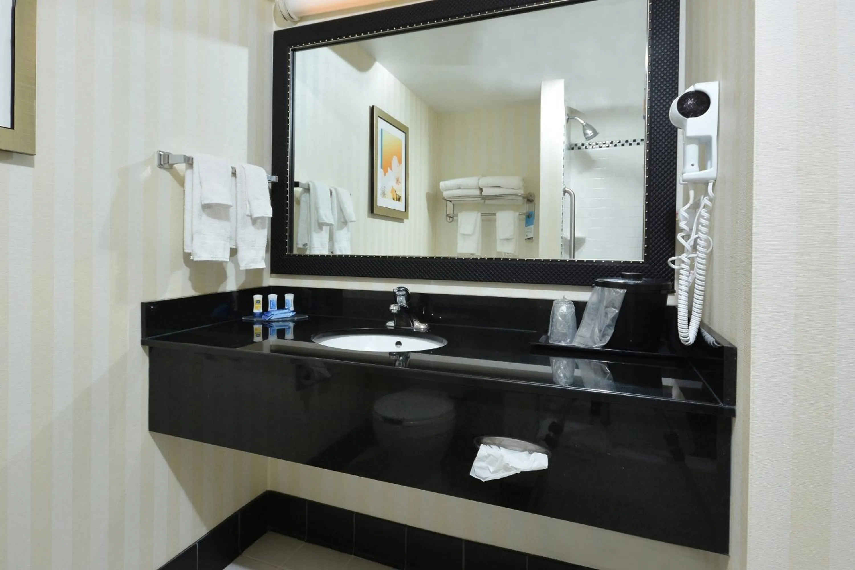 Bathroom in Fairfield Inn & Suites Wytheville