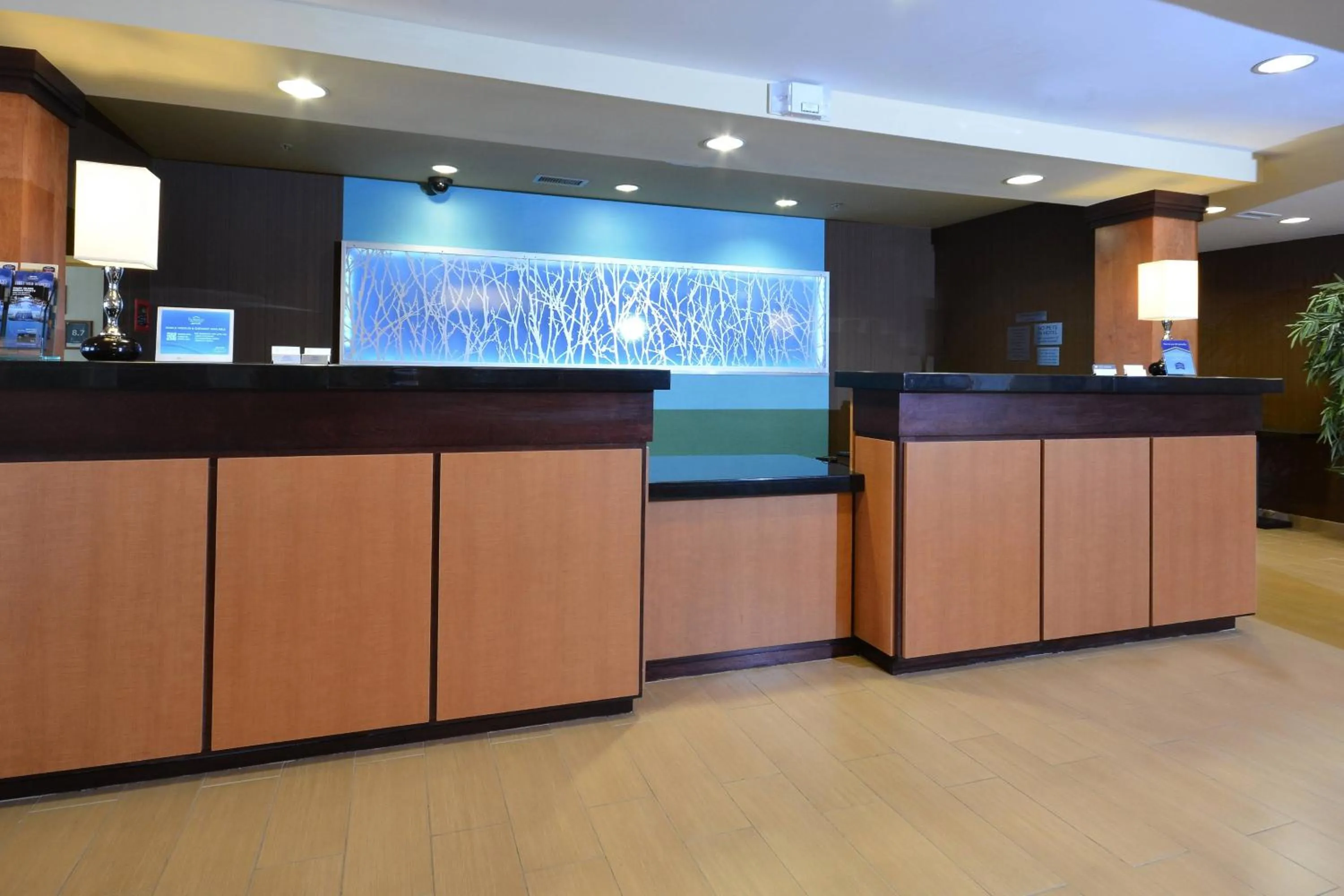 Lobby or reception in Fairfield Inn & Suites Wytheville