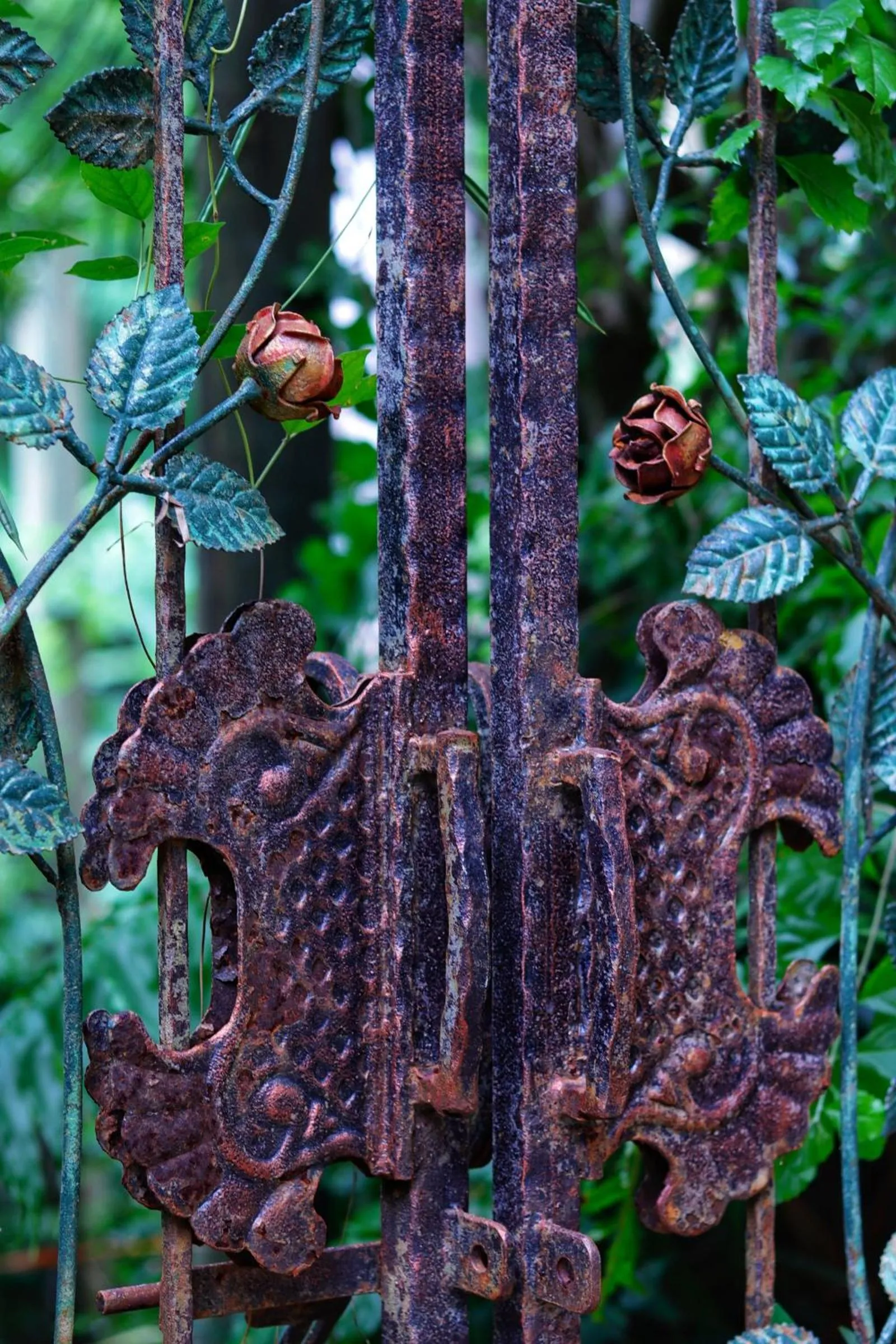 Garden in Whitsundays Retreat