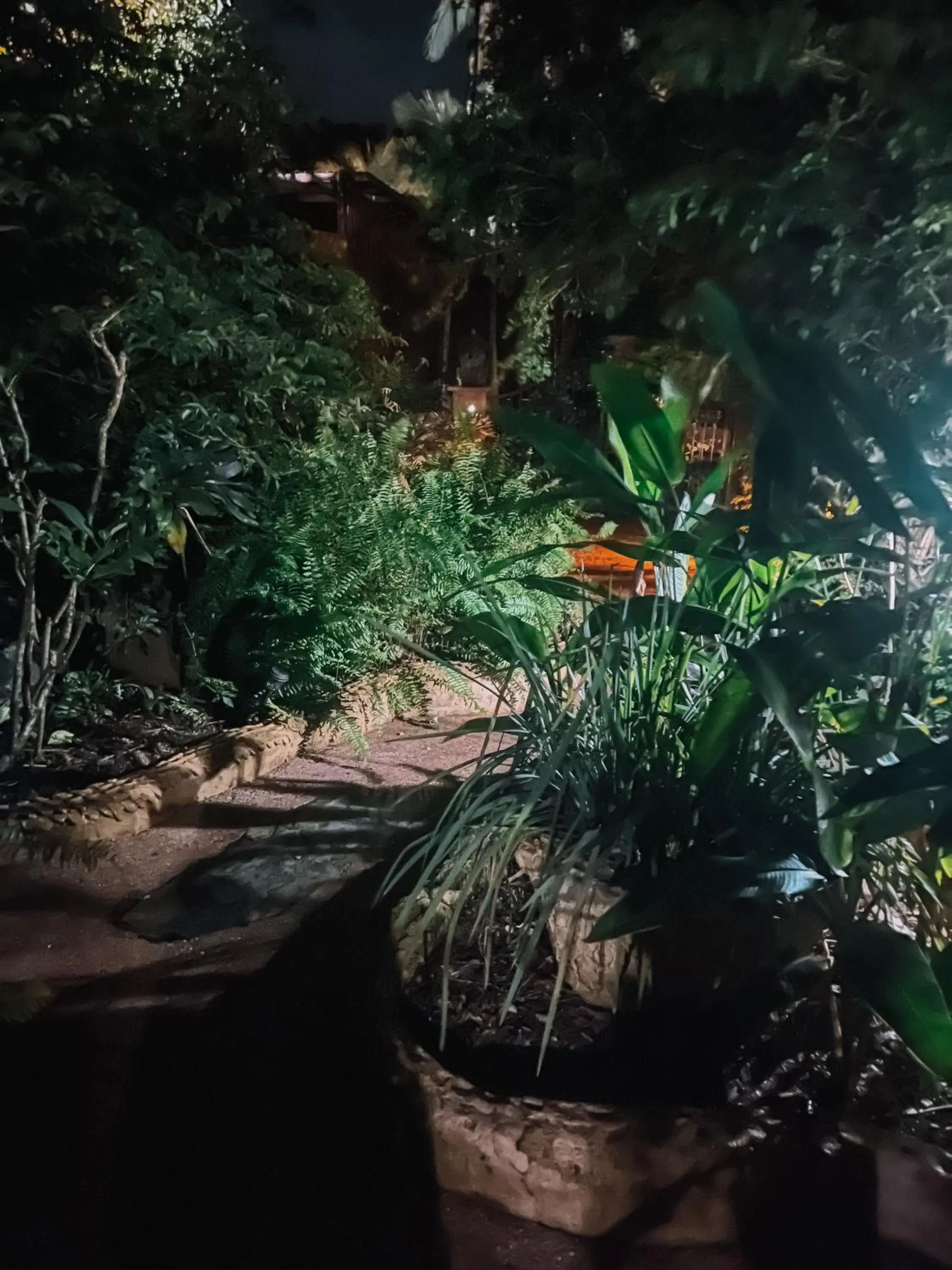 Garden in Whitsundays Retreat