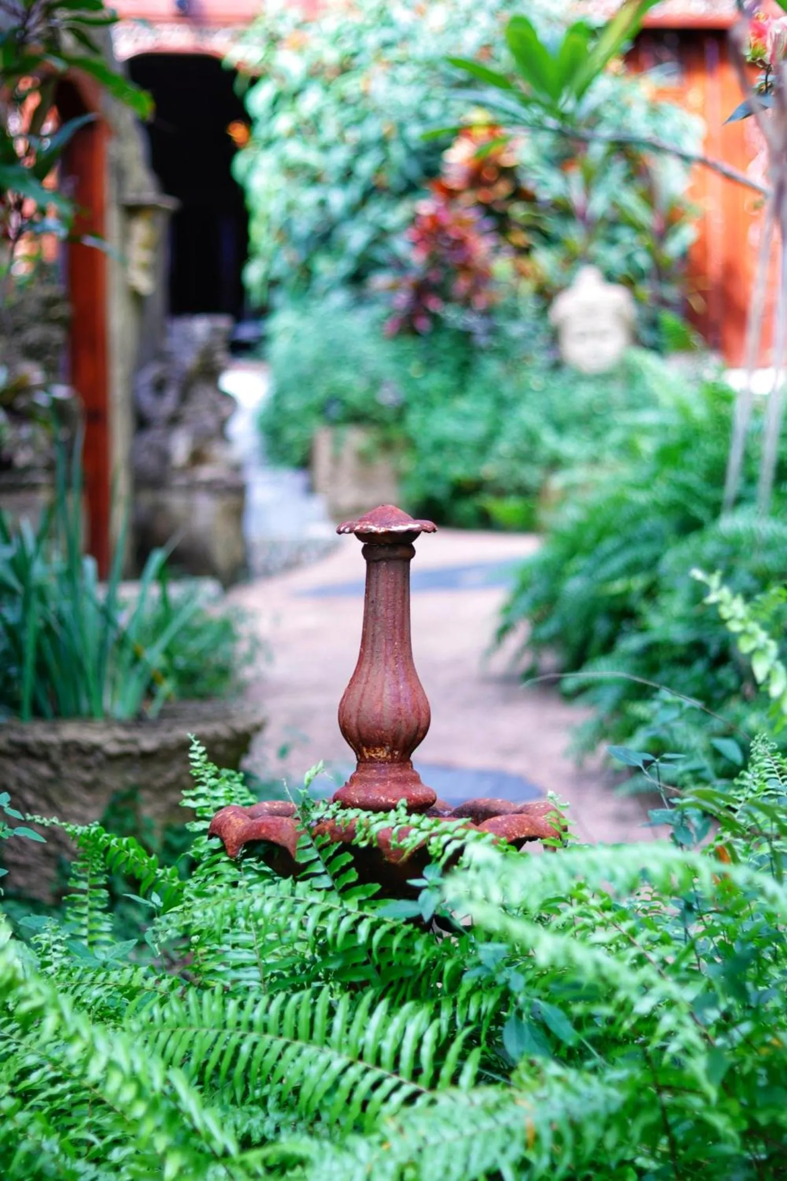 Property building in Whitsundays Retreat