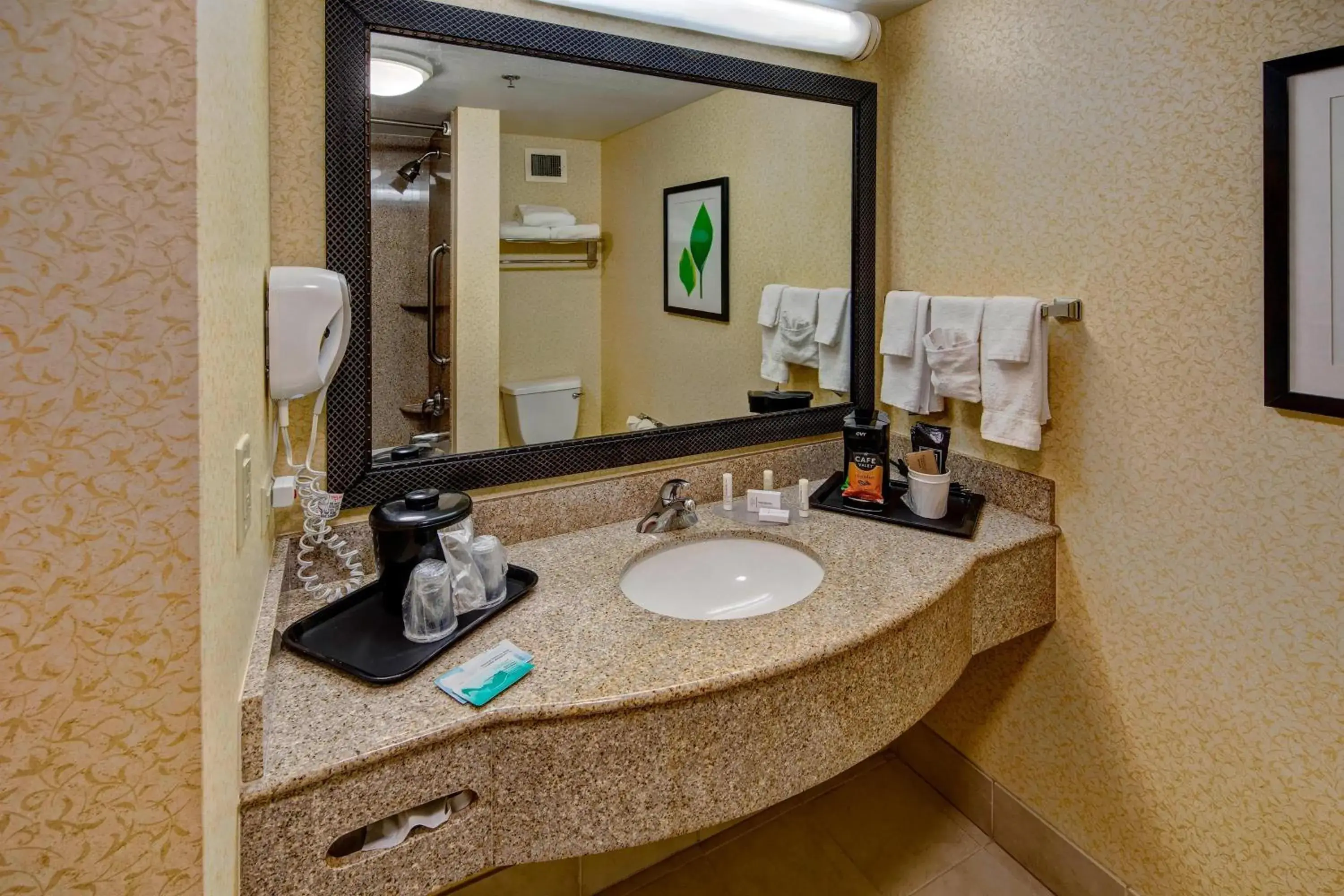 Queen Suite in Spark by Hilton Murfreesboro Queen Suite in Spark by Hilton Murfreesboro