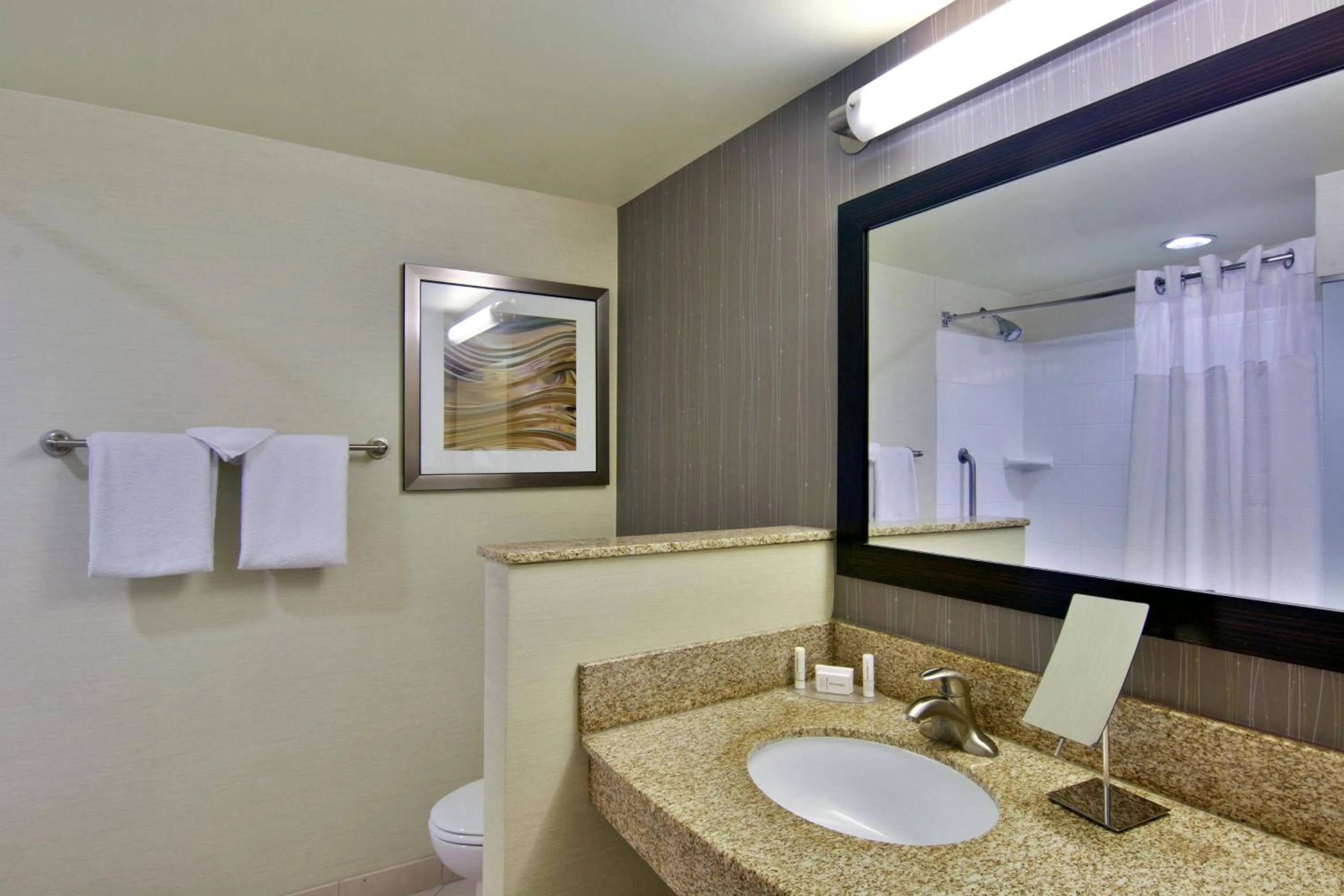 Bathroom in Courtyard by Marriott Clarksville