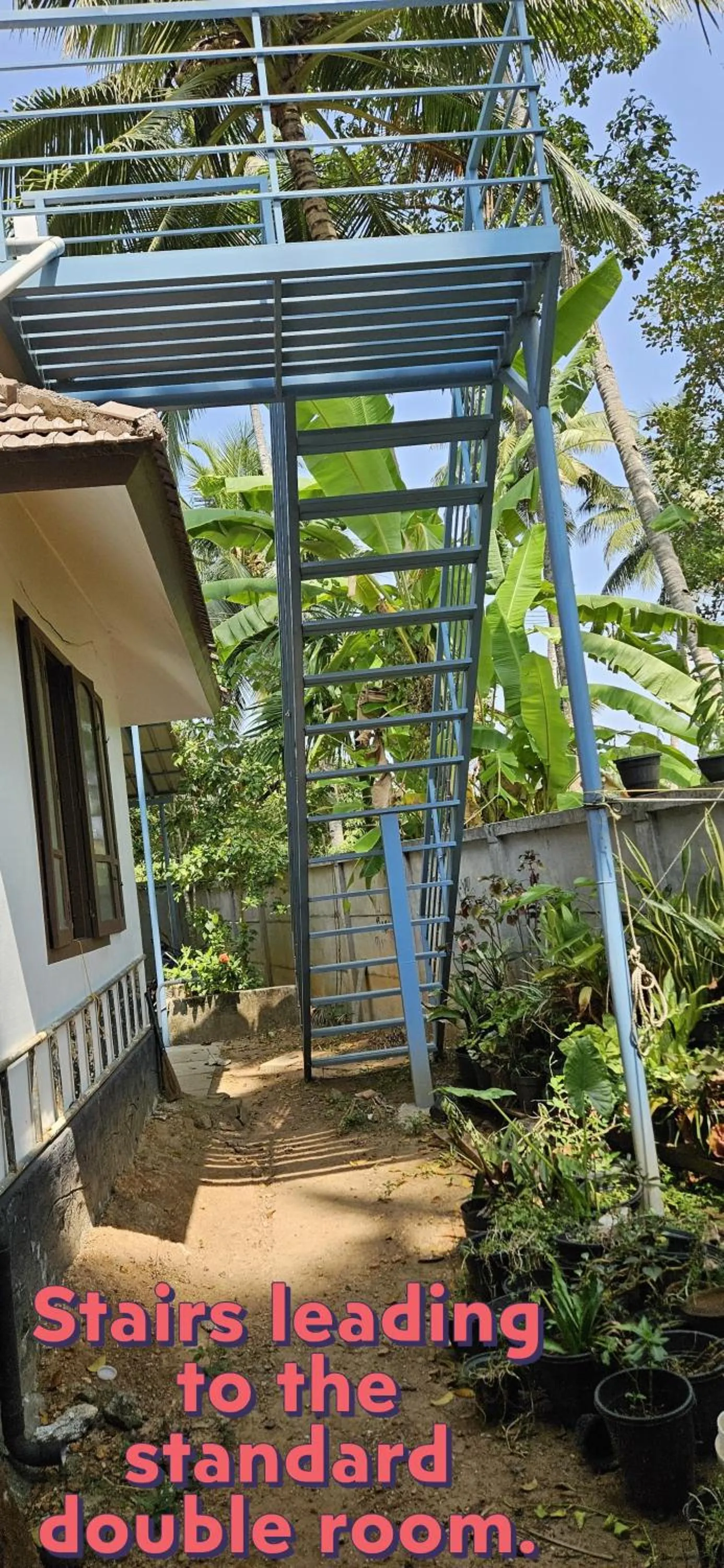 GreenChromide Homestays