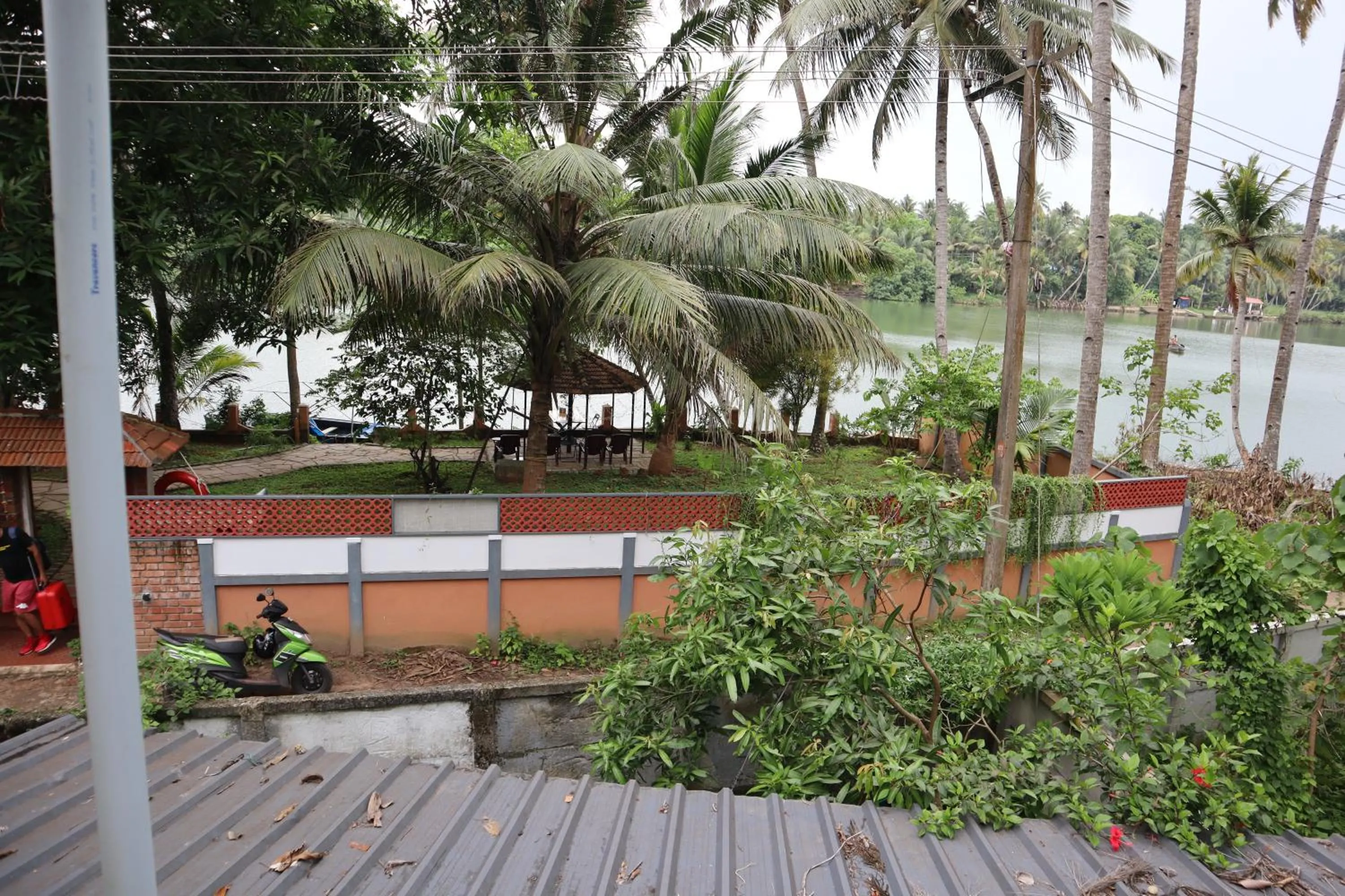 View (from property/room) in GreenChromide Homestays
