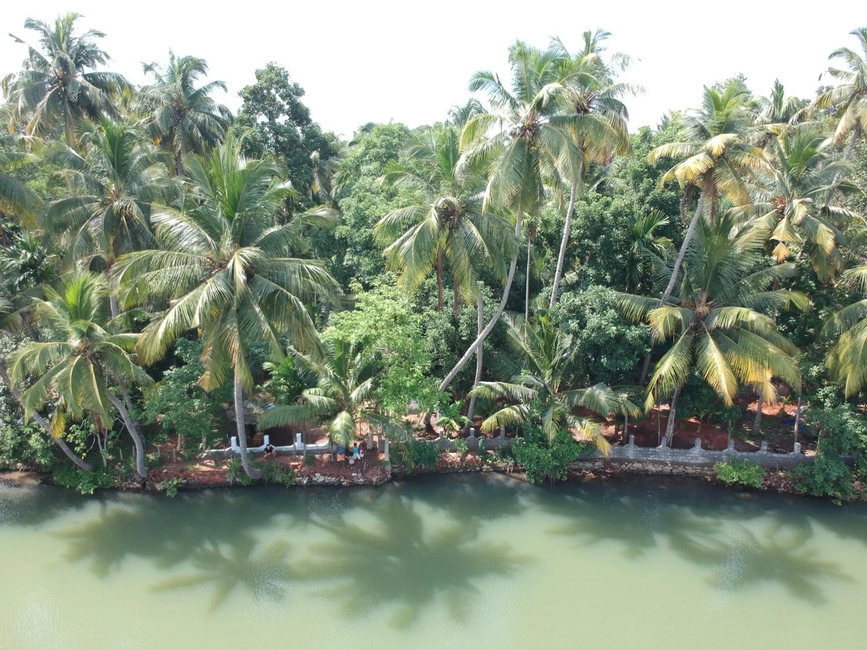 Natural landscape in GreenChromide Homestays