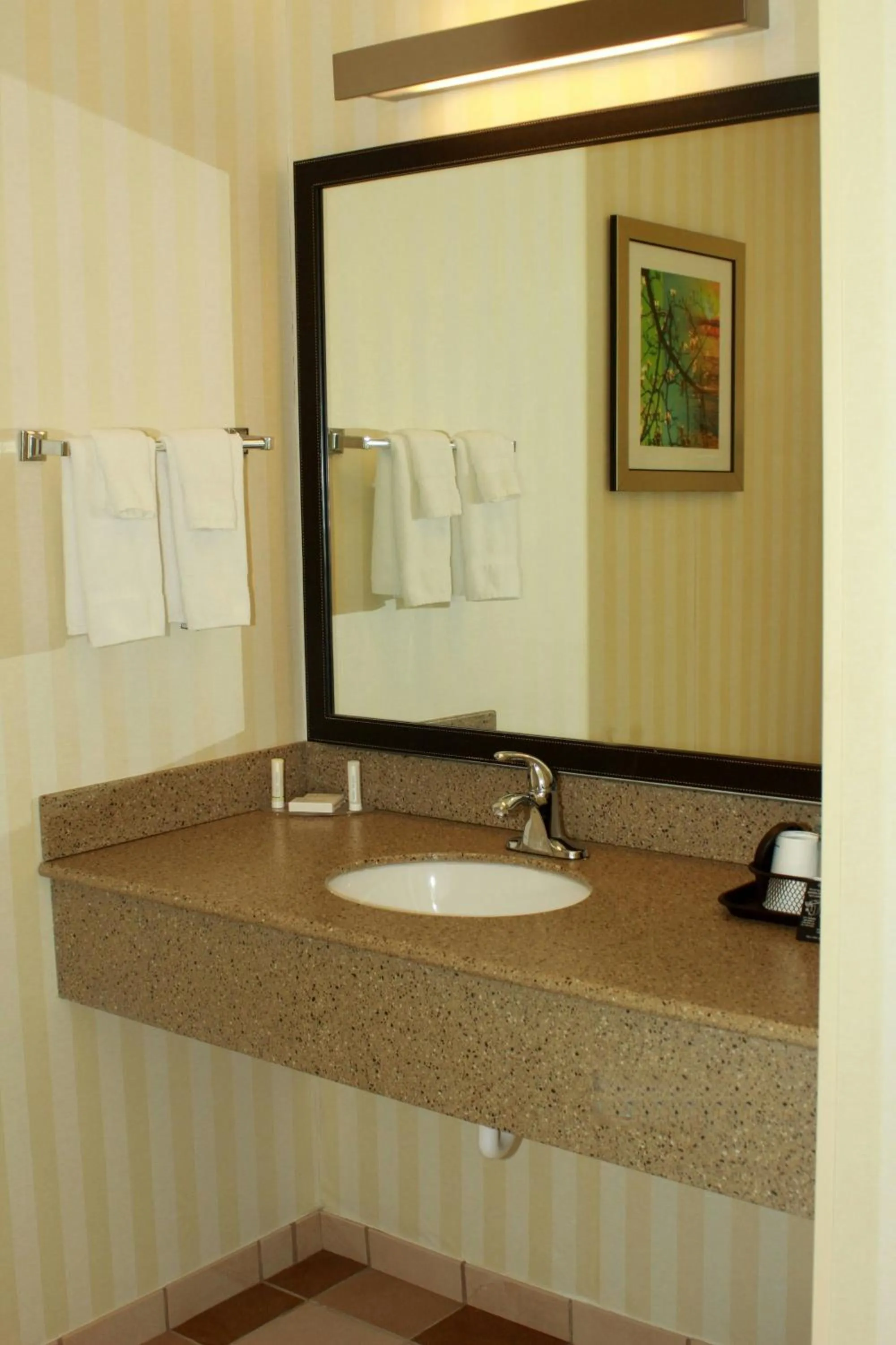 Bathroom in Fairfield Inn & Suites by Marriott Fairmont