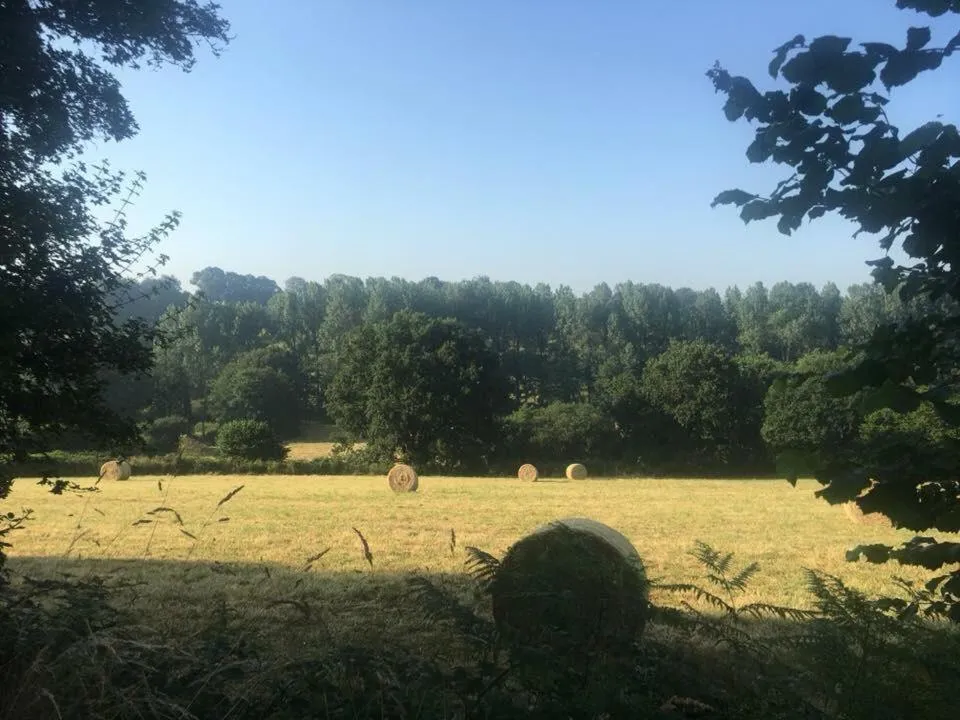 Natural landscape in Chambres d'Hôtes La Clef des Champs Normandie Manche 50