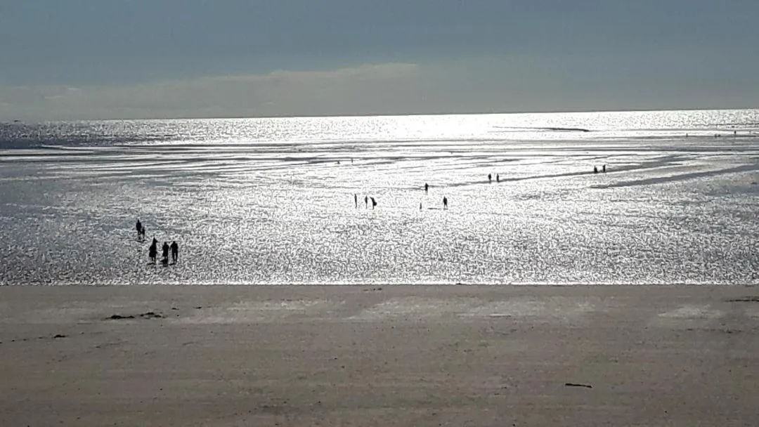Natural landscape in Chambres d'Hôtes La Clef des Champs Normandie Manche 50