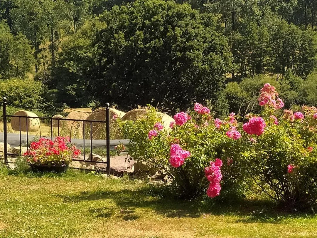 Garden in Chambres d'Hôtes La Clef des Champs Normandie Manche 50