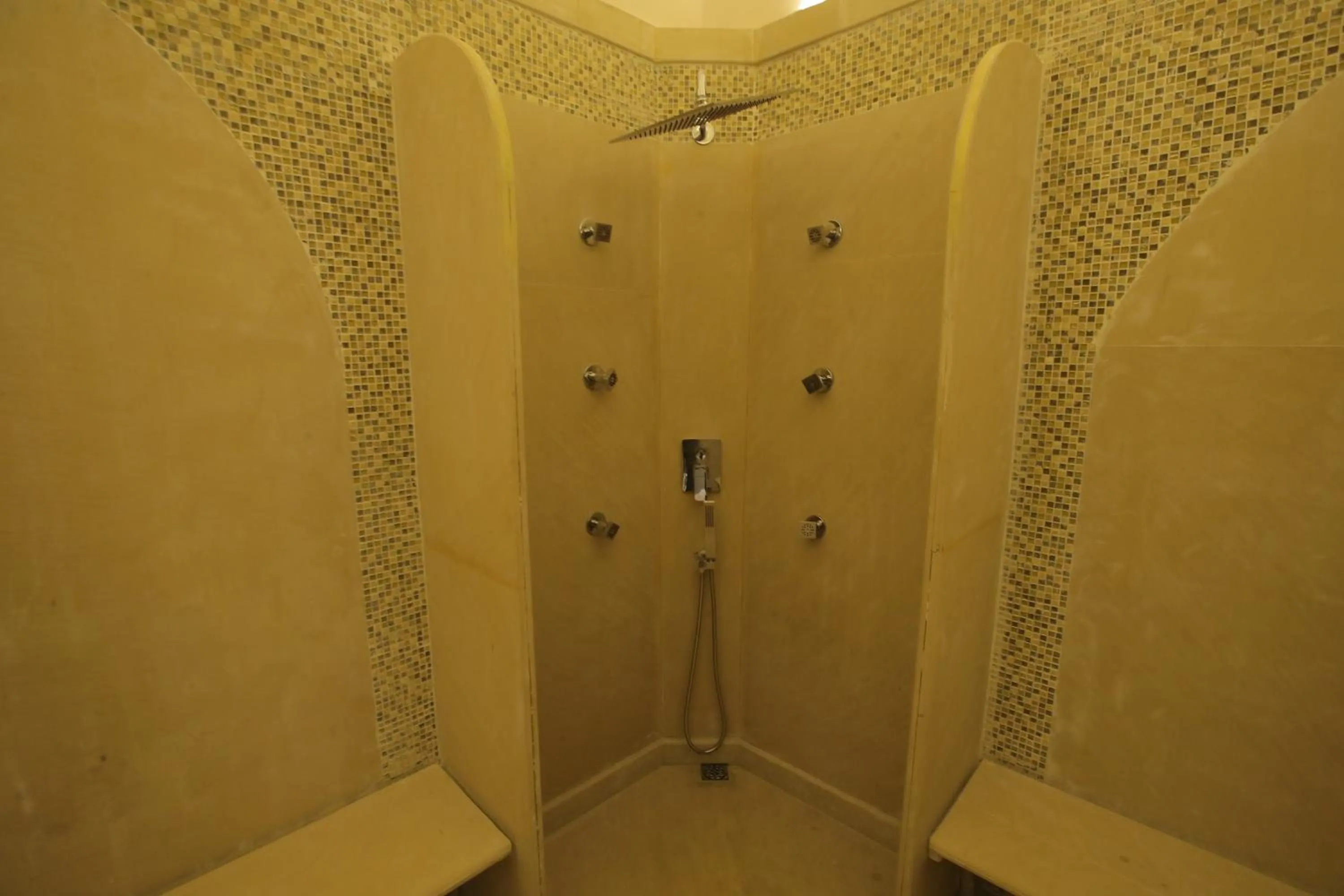 Steam room in Buena Vista Luxury Garden Spa Resort