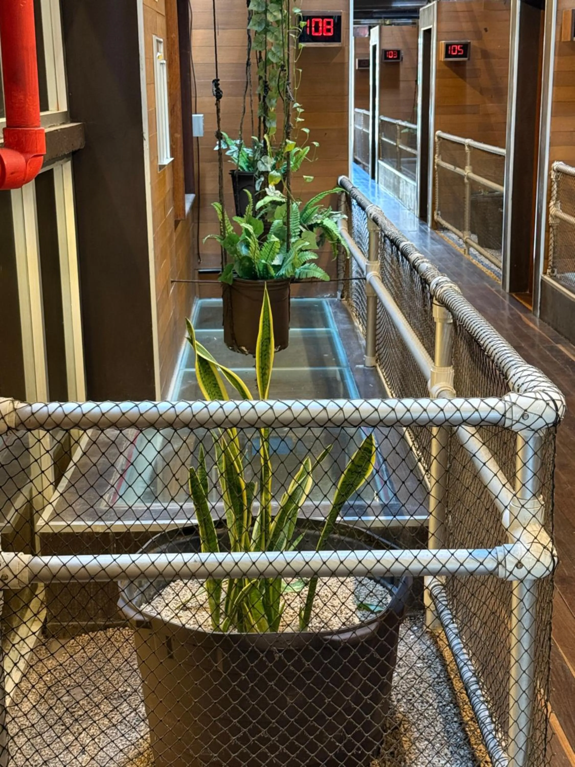 Area and facilities in Reina Roja Hotel Boutique