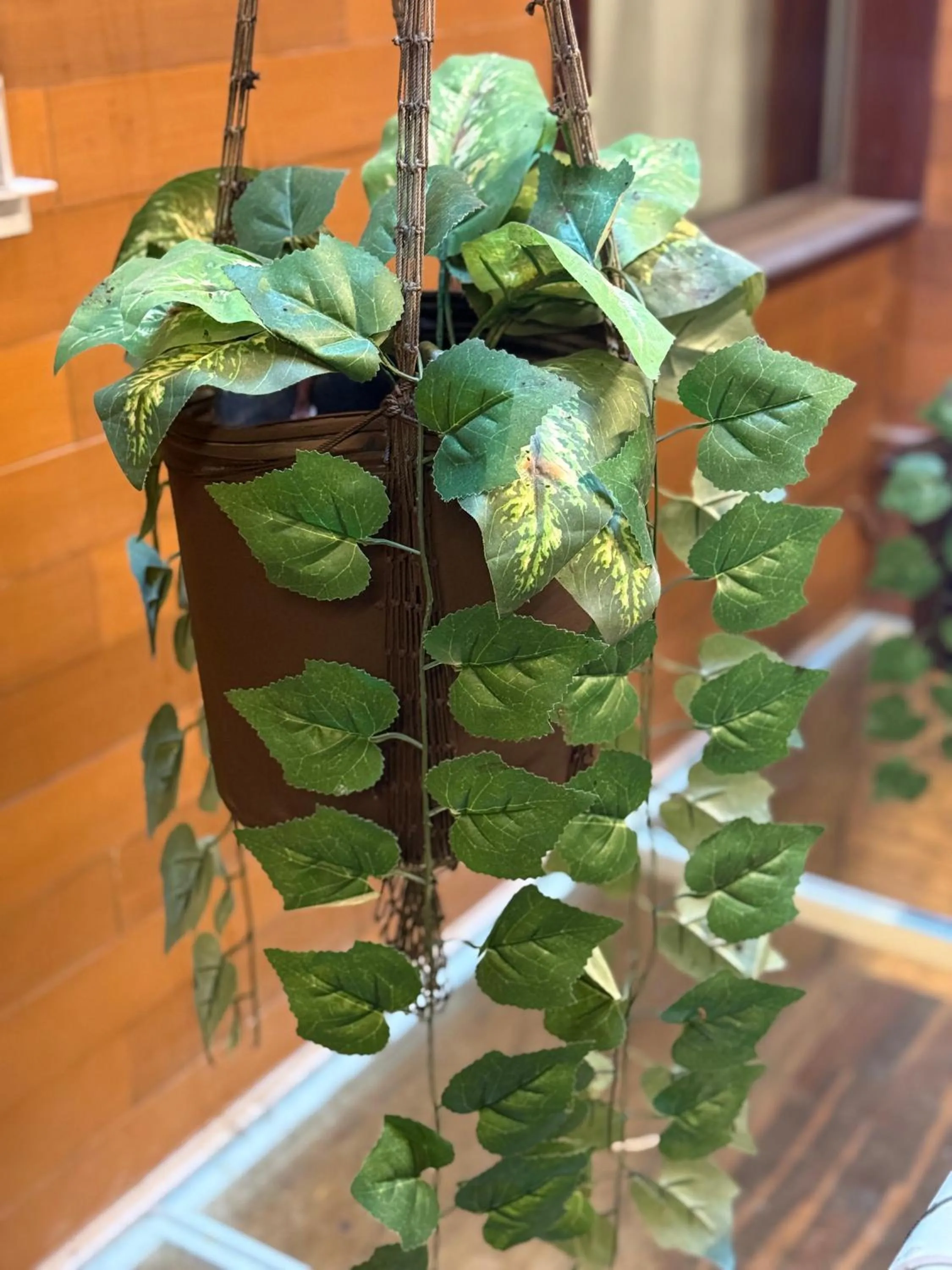 Area and facilities in Reina Roja Hotel Boutique