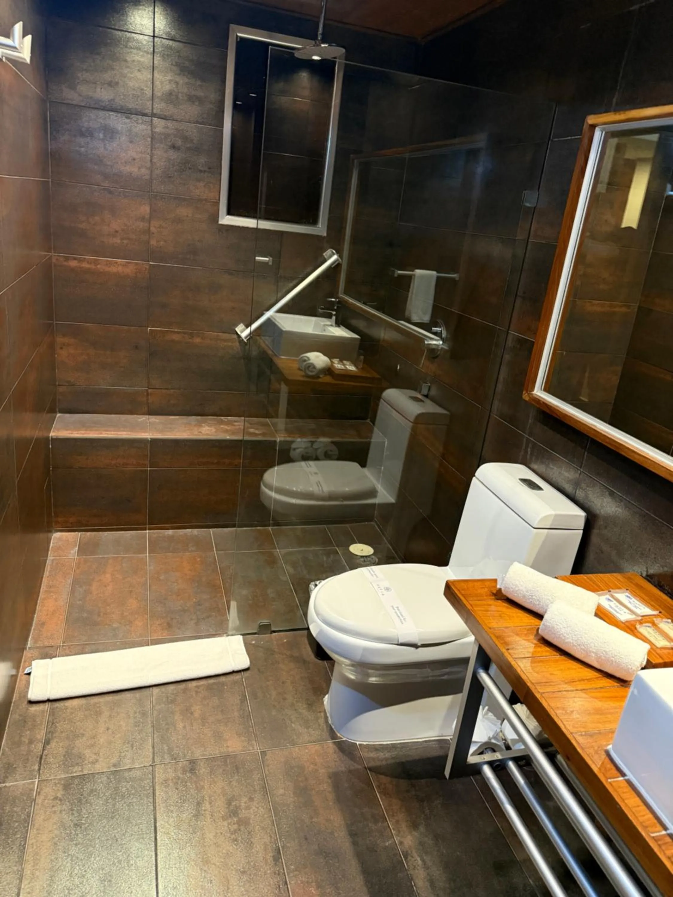 Shower in Reina Roja Hotel Boutique