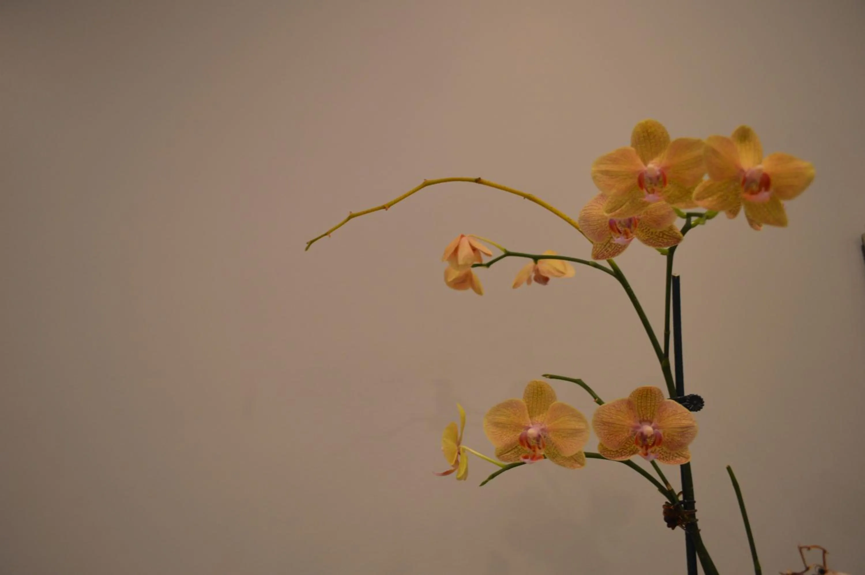 On site in Miami Sun Hotel - Downtown/Port of Miami