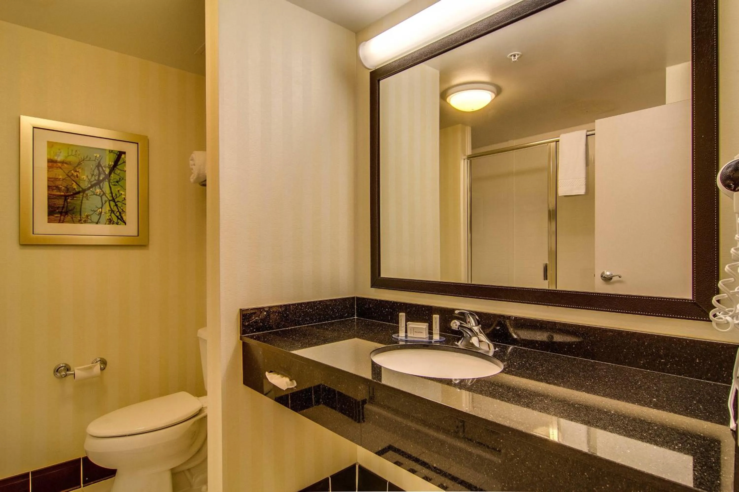 Bathroom in Fairfield Inn & Suites Palm Coast I-95