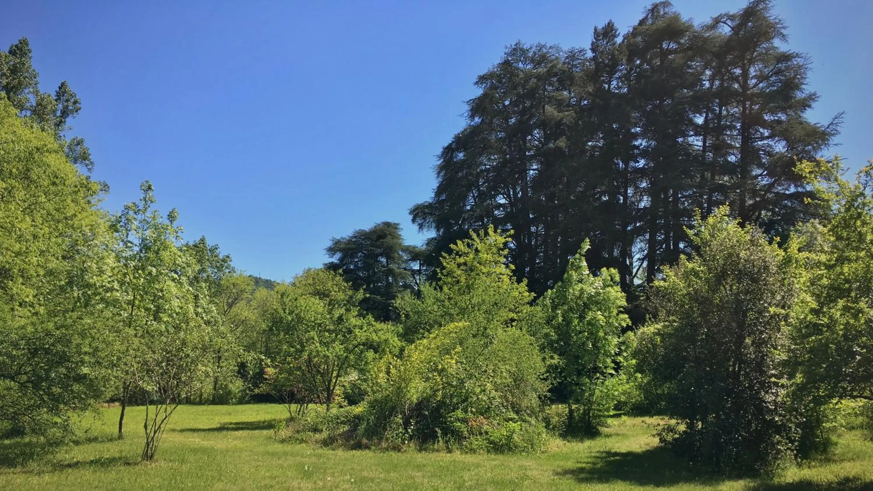 Garden in Domaine de l'Amiral